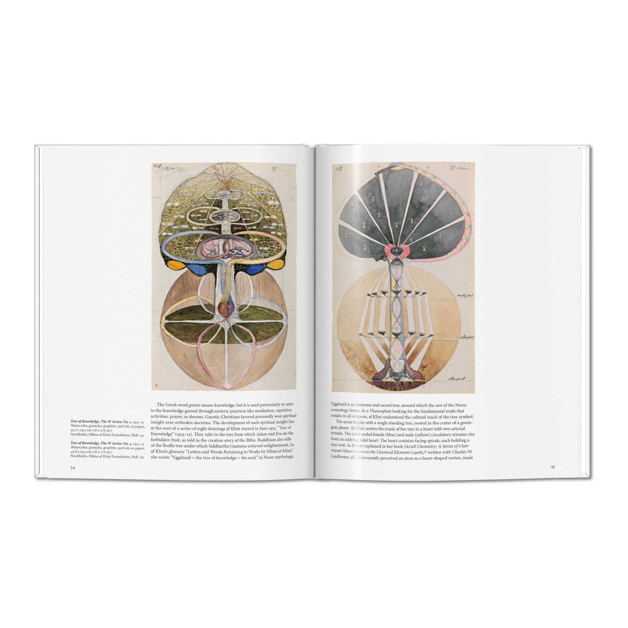 Hilma af Klint (Capa dura) 3