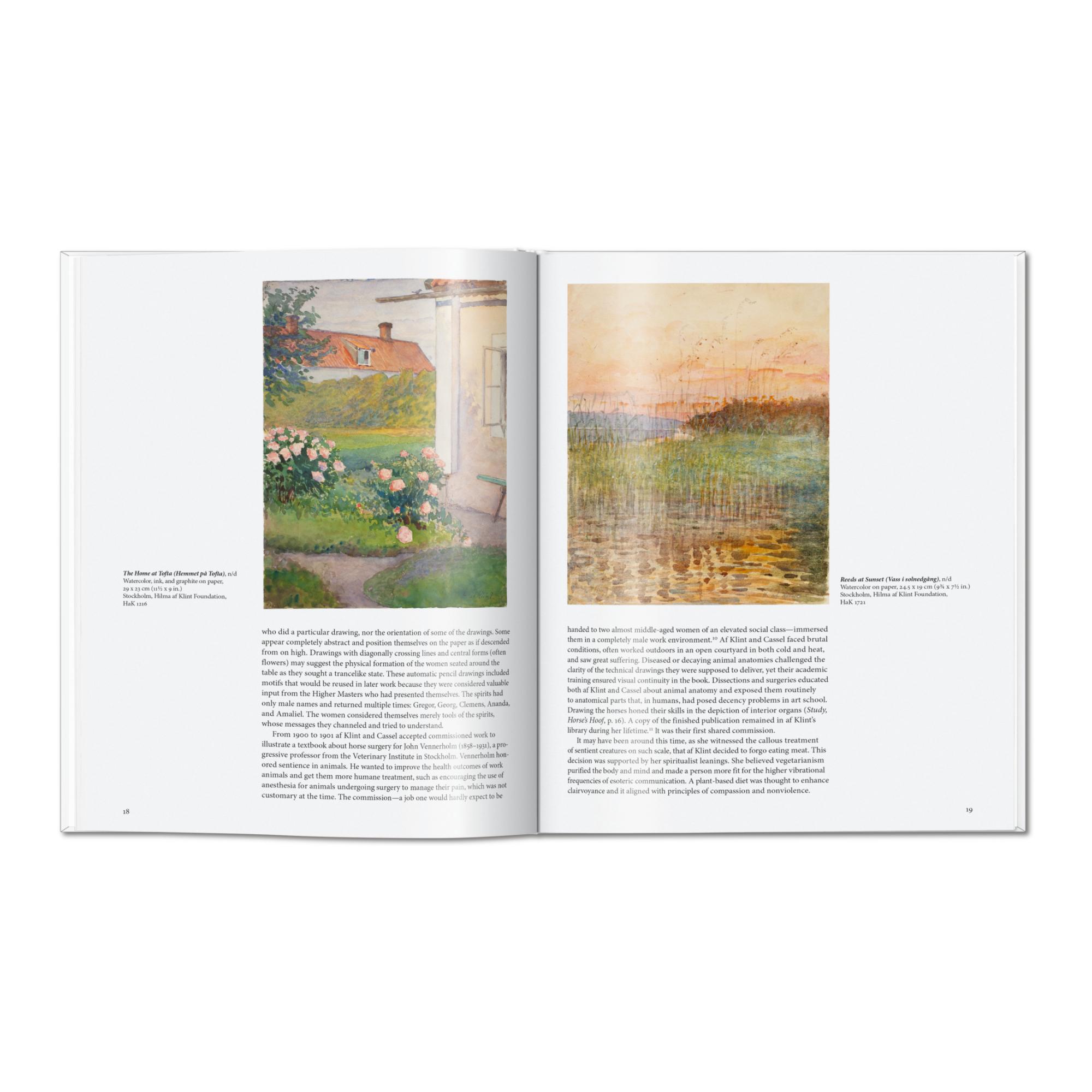 Hilma af Klint (Capa dura) 4