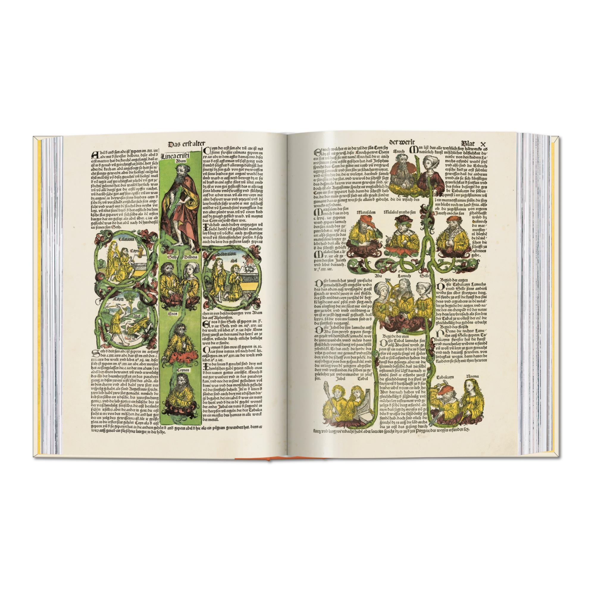 Chronicle of the World (Capa dura) 11