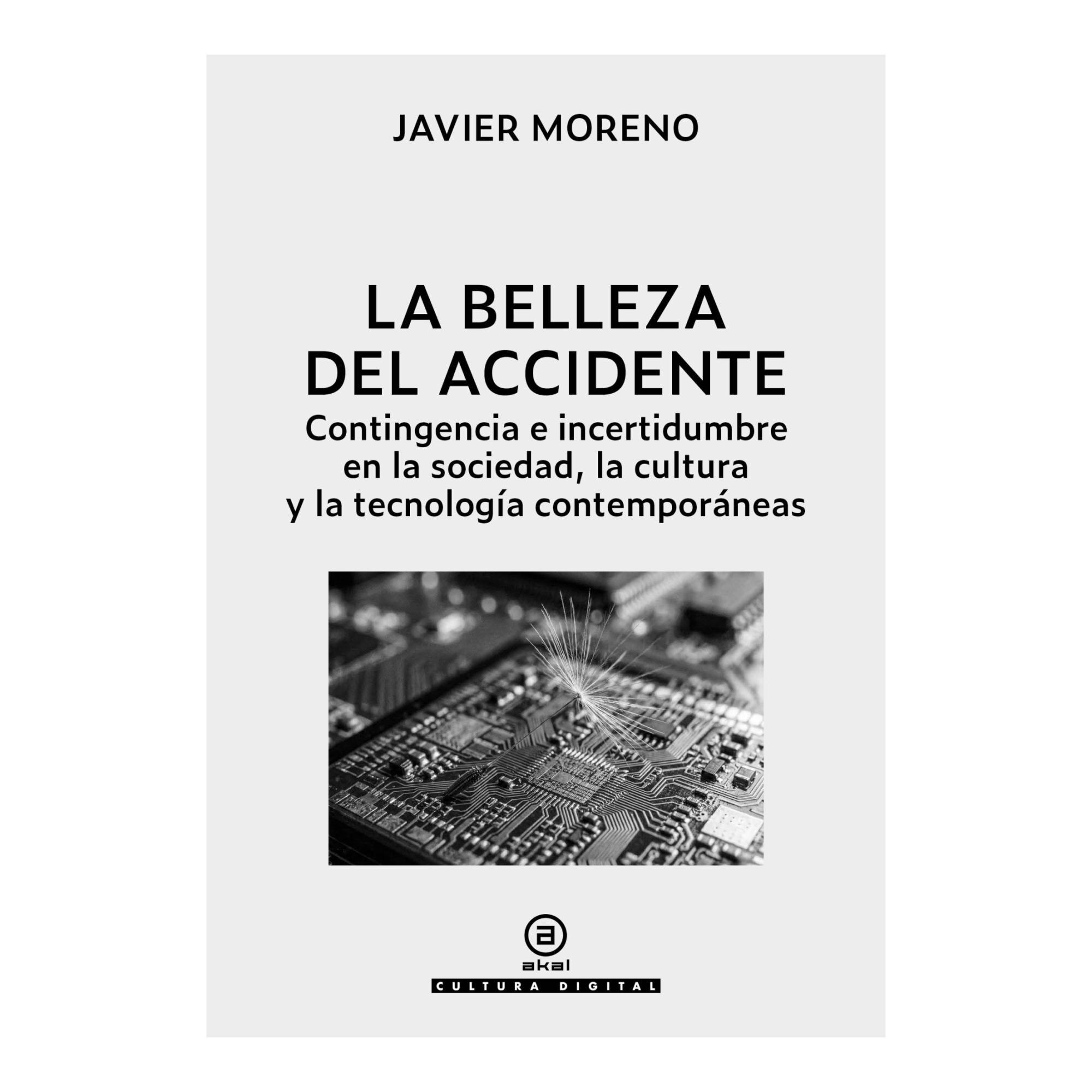 La belleza del accidente (Capa mole com abas) 1