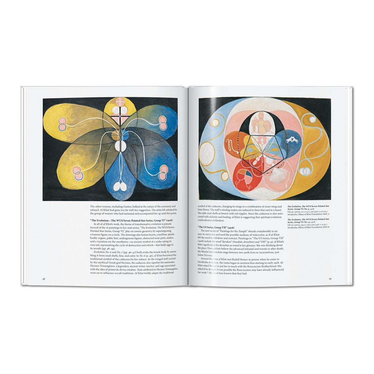 HILMA AF KLINT  (Capa Dura) 9