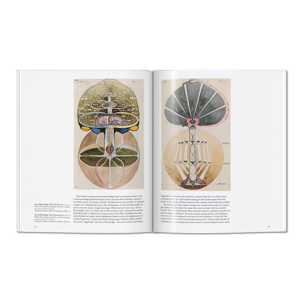 HILMA AF KLINT  (Capa Dura) 11