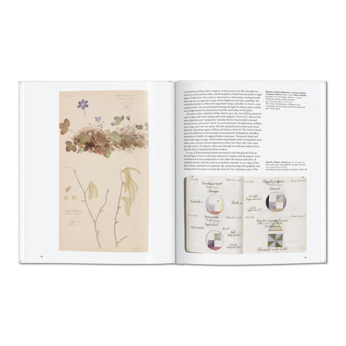HILMA AF KLINT  (Capa Dura) 12