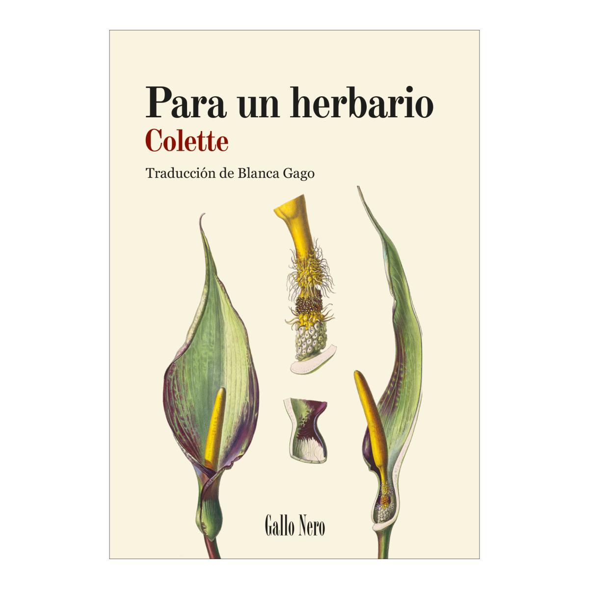 Imagem 0 de PARA UN HERBARIO  (Capa Mole com Abas)