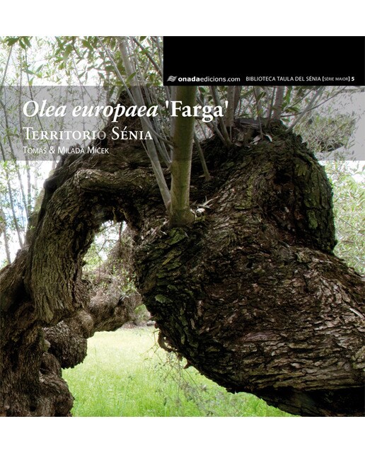Olea europaea 'Farga': Territori Sénia (Capa dura) 1
