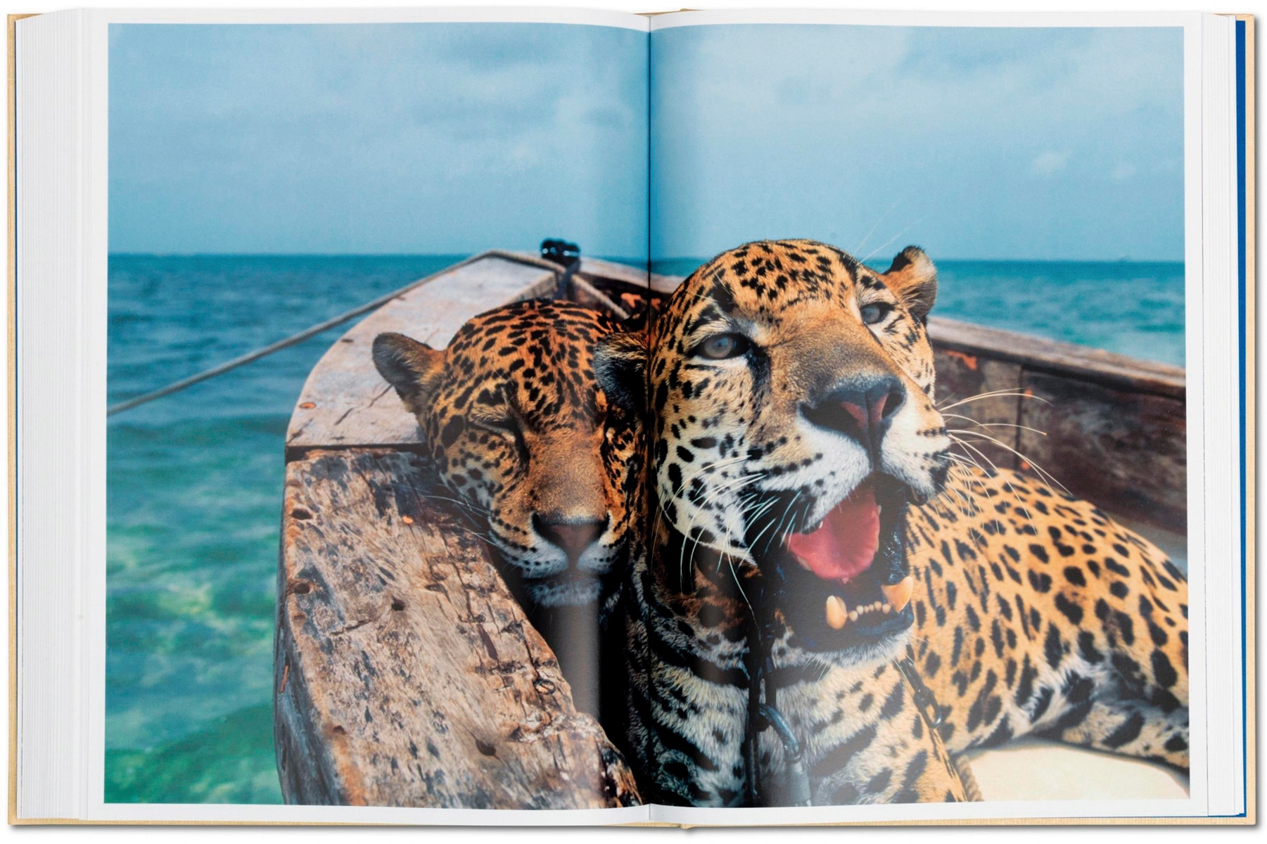 National Geographic. La vuelta al mundo en 125 años (Capa dura) 5