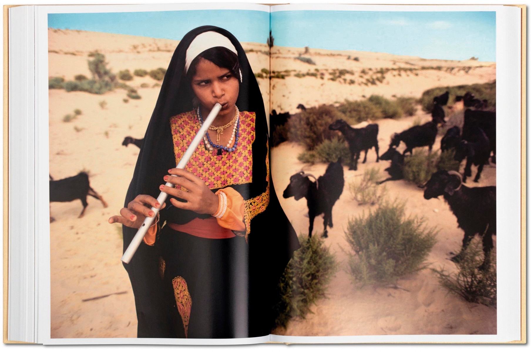 National Geographic. La vuelta al mundo en 125 años (Capa dura) 11