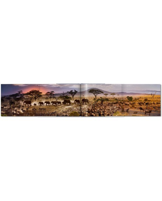 Stephen Wilkes. Day to Night (Capa dura) 6