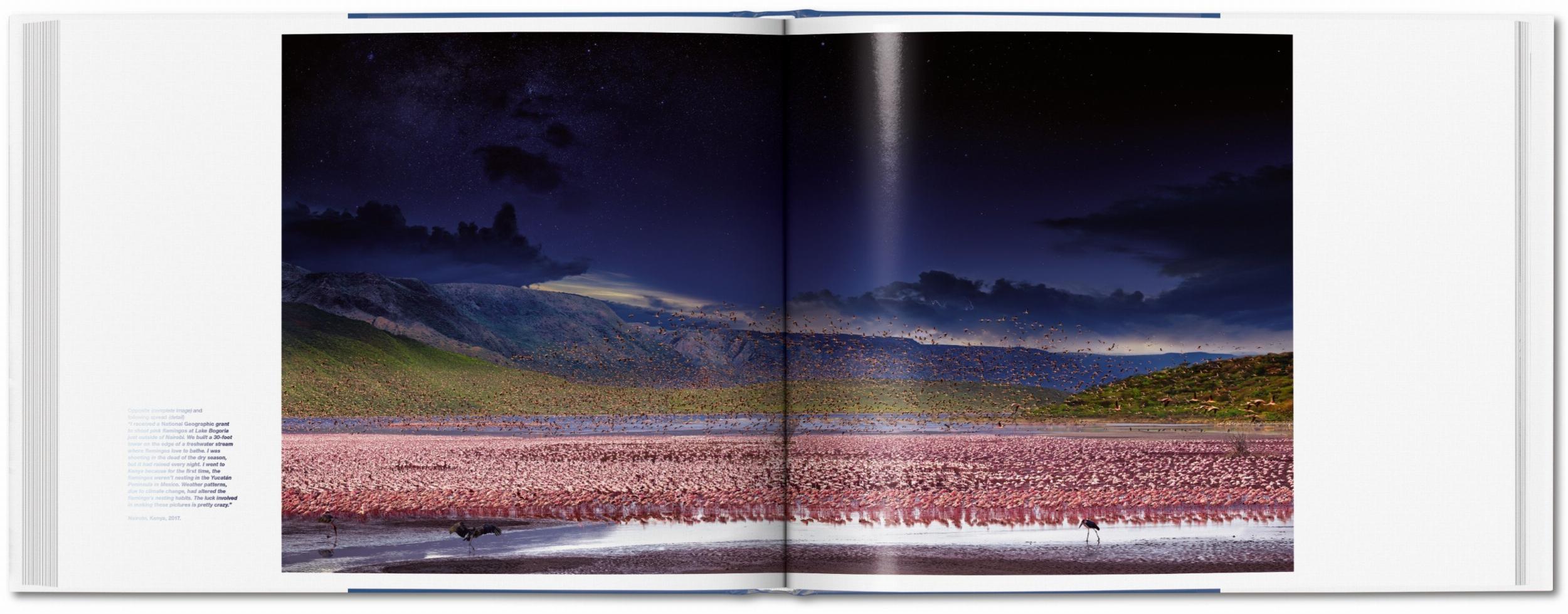 Stephen Wilkes. Day to Night (Capa dura) 14