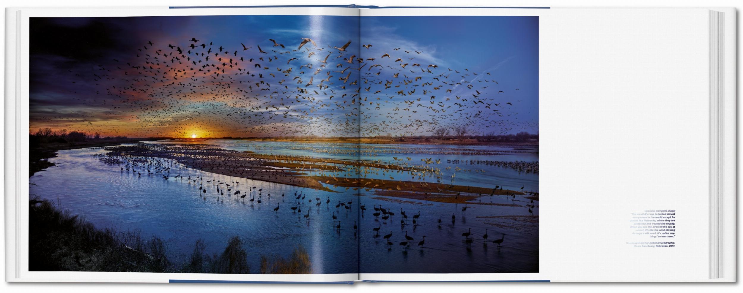 Stephen Wilkes. Day to Night (Capa dura) 18