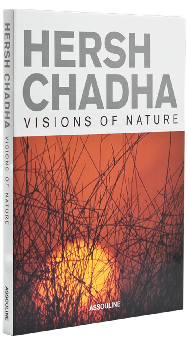 Hersh chadha: visions of nature 1