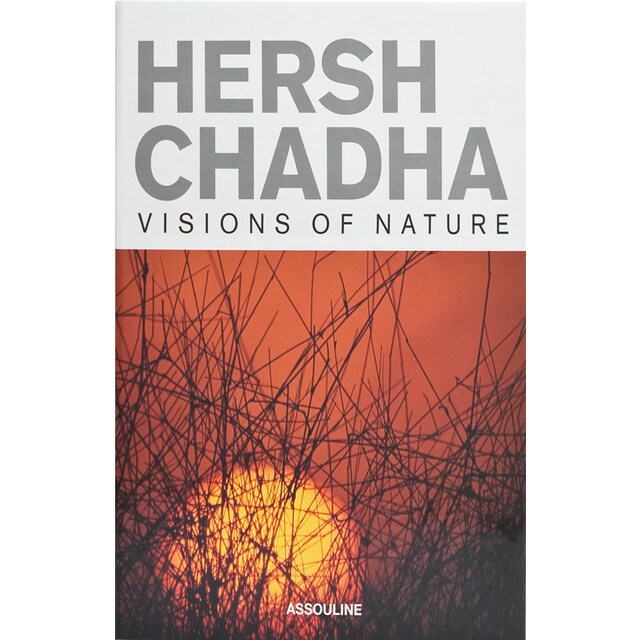 Hersh chadha: visions of nature 2