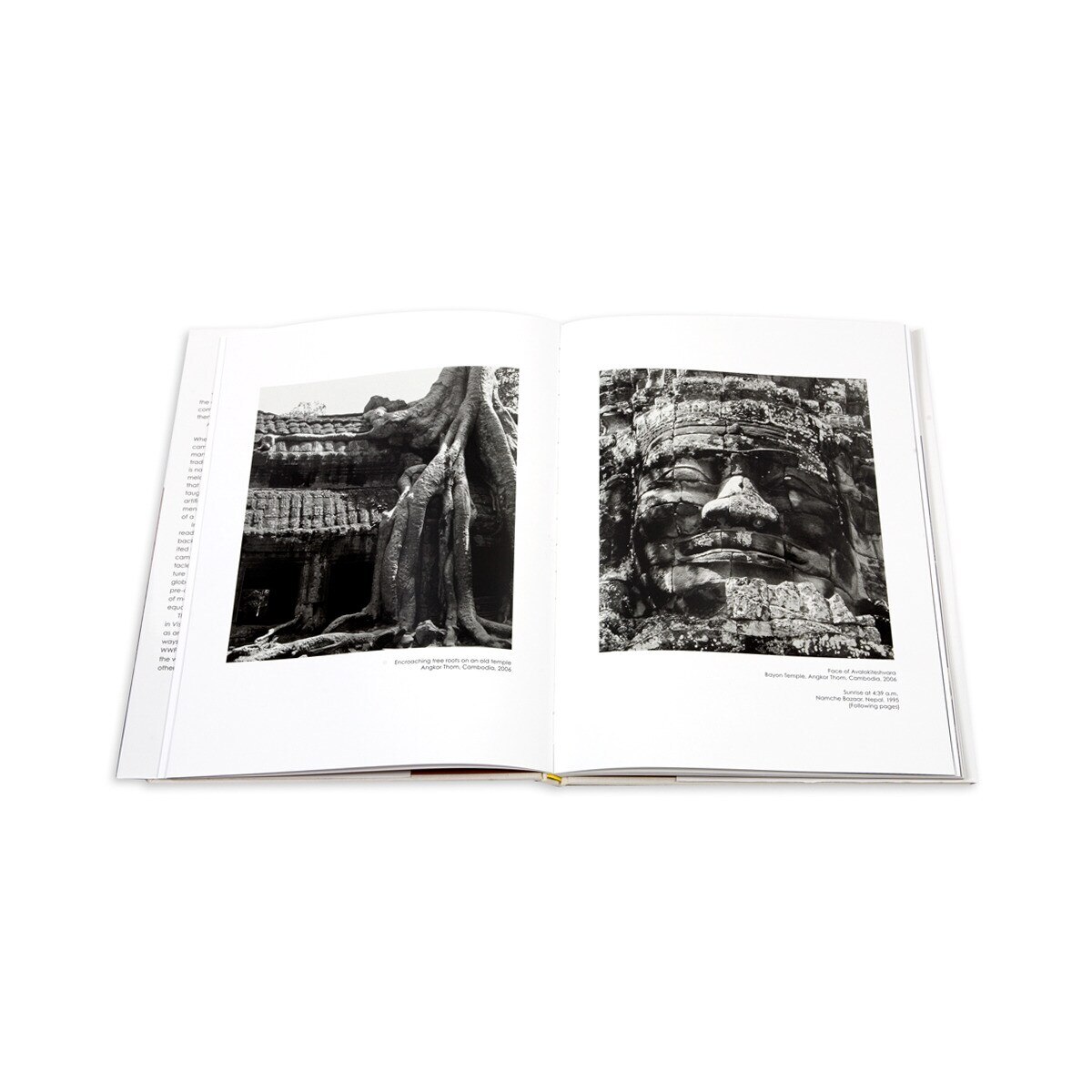 Hersh chadha: visions of nature 3