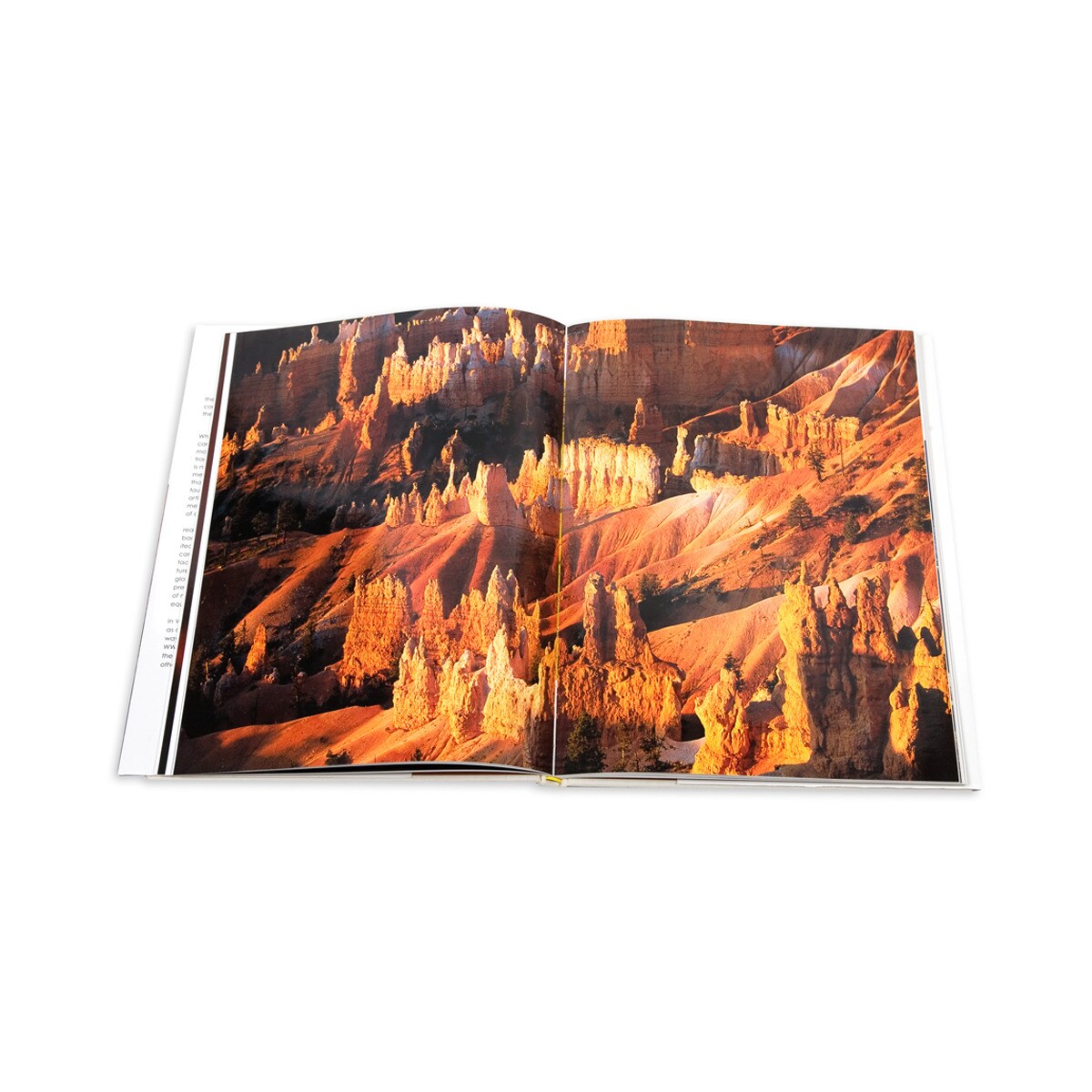 Hersh chadha: visions of nature 4