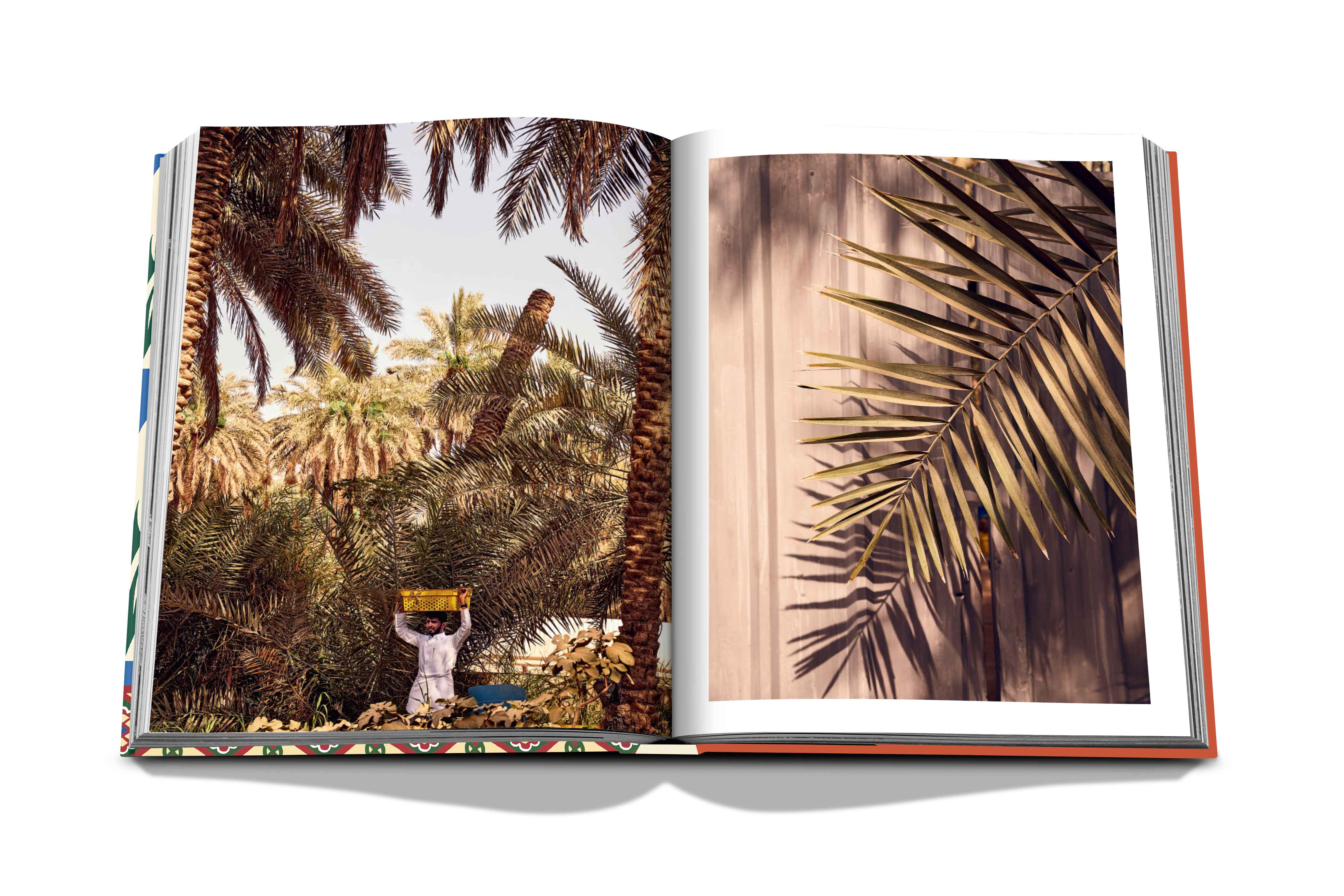 Saudi dates: a portrait of the sacred fruit 5
