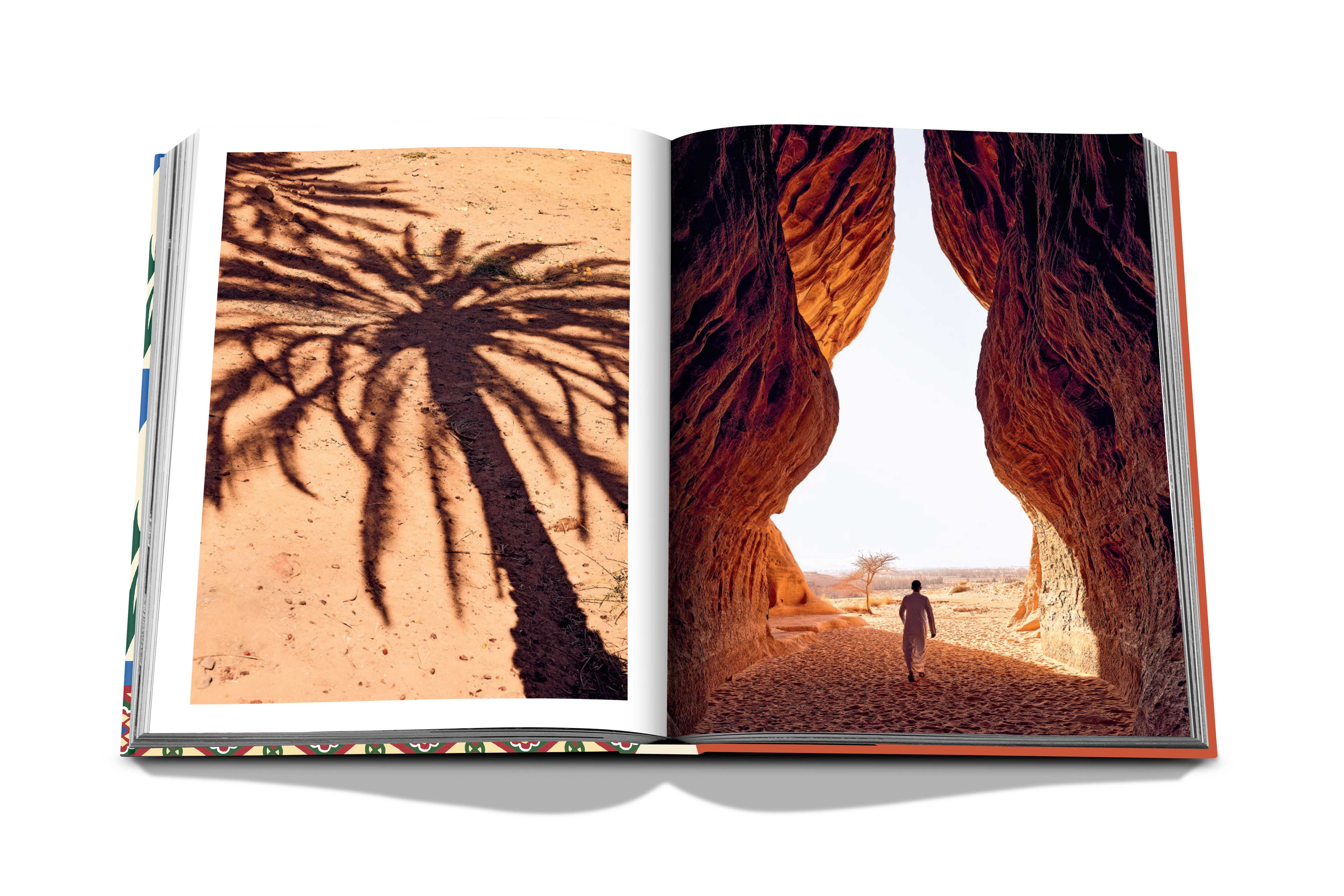 Saudi dates: a portrait of the sacred fruit 10