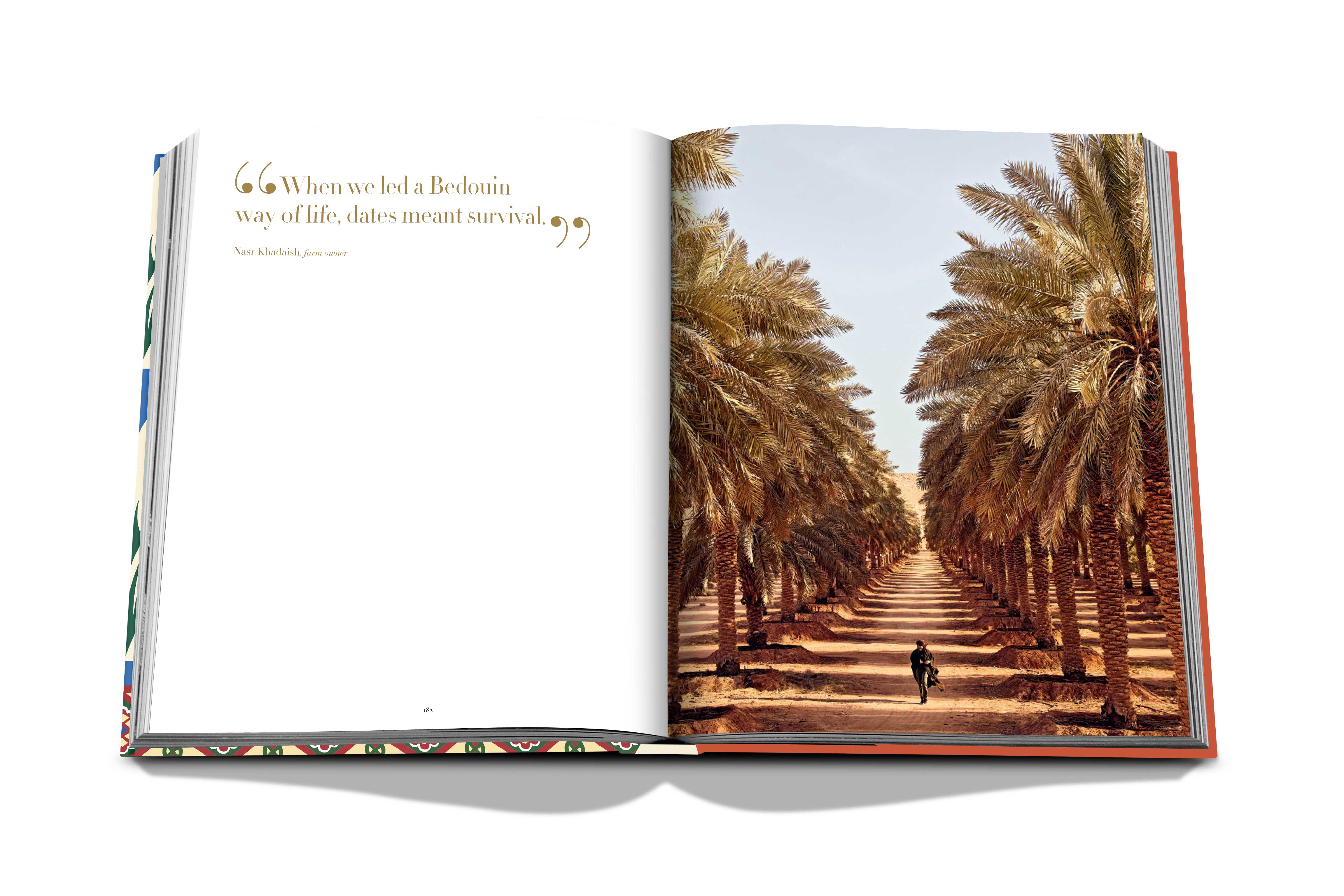 Saudi dates: a portrait of the sacred fruit 11