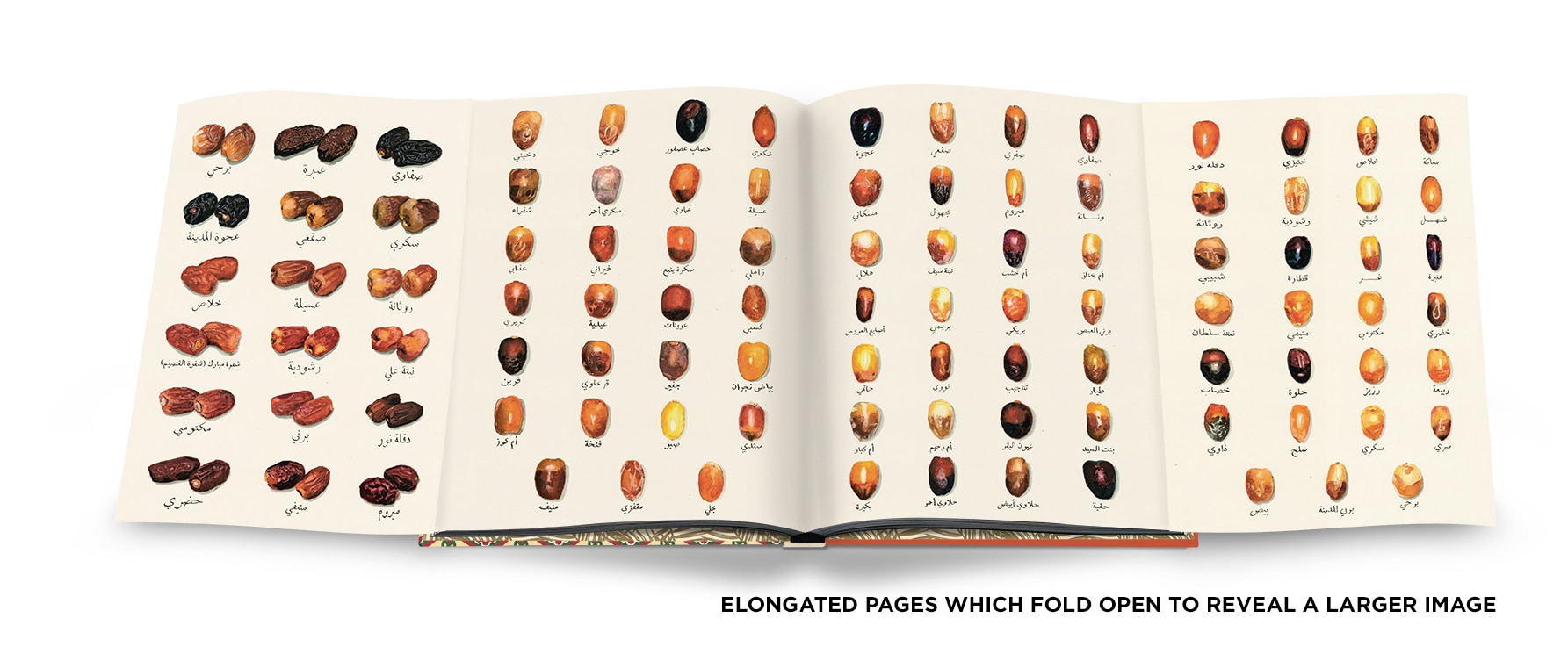 Saudi dates: a portrait of the sacred fruit 15