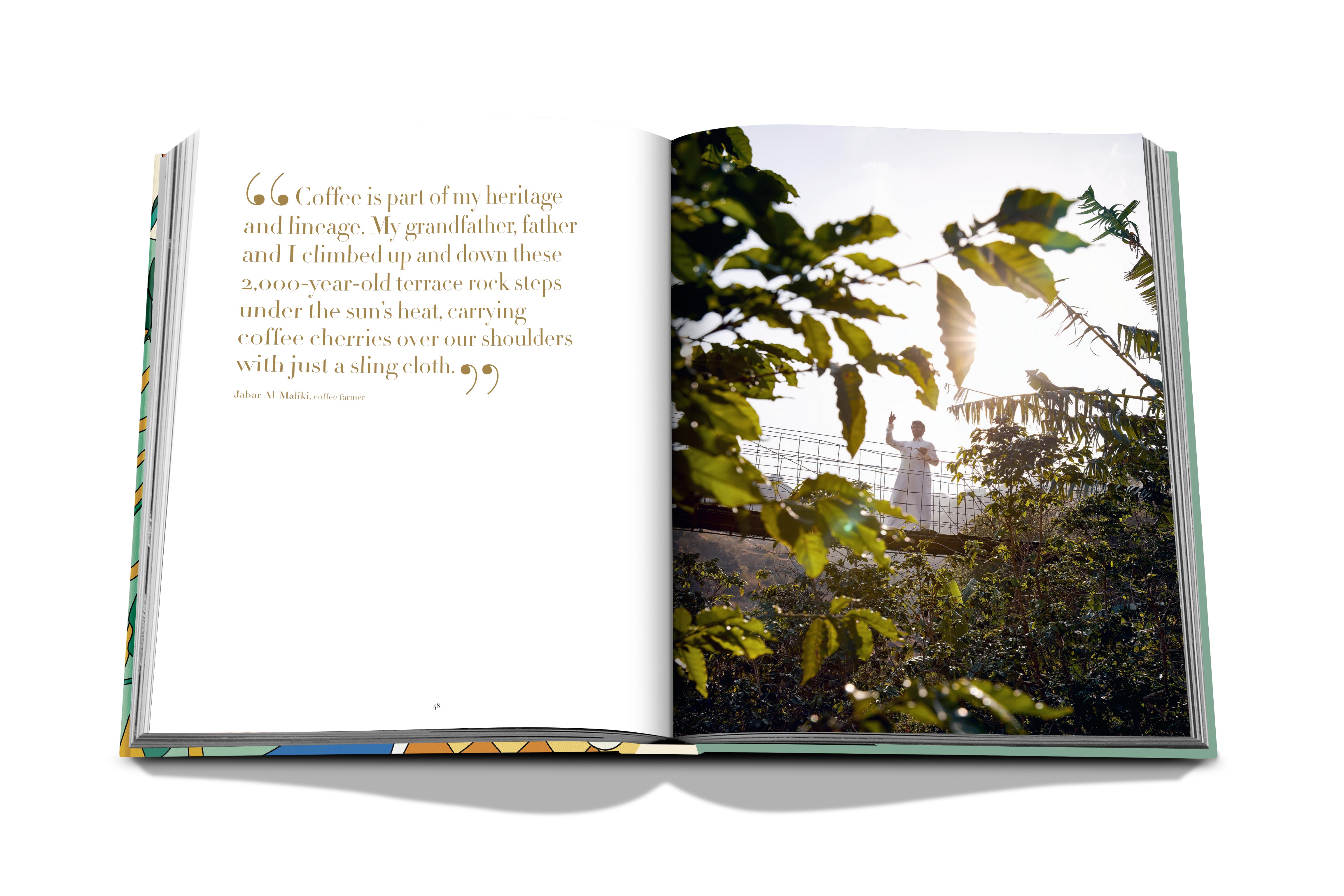 Saudi coffee: the culture of hospitality 12