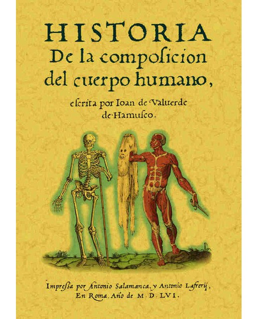 Historia De La Composición Del Cuerpo Humano 1