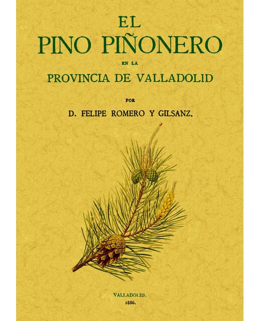 El Pino Piñorero En La Provincia De Valladolid 1