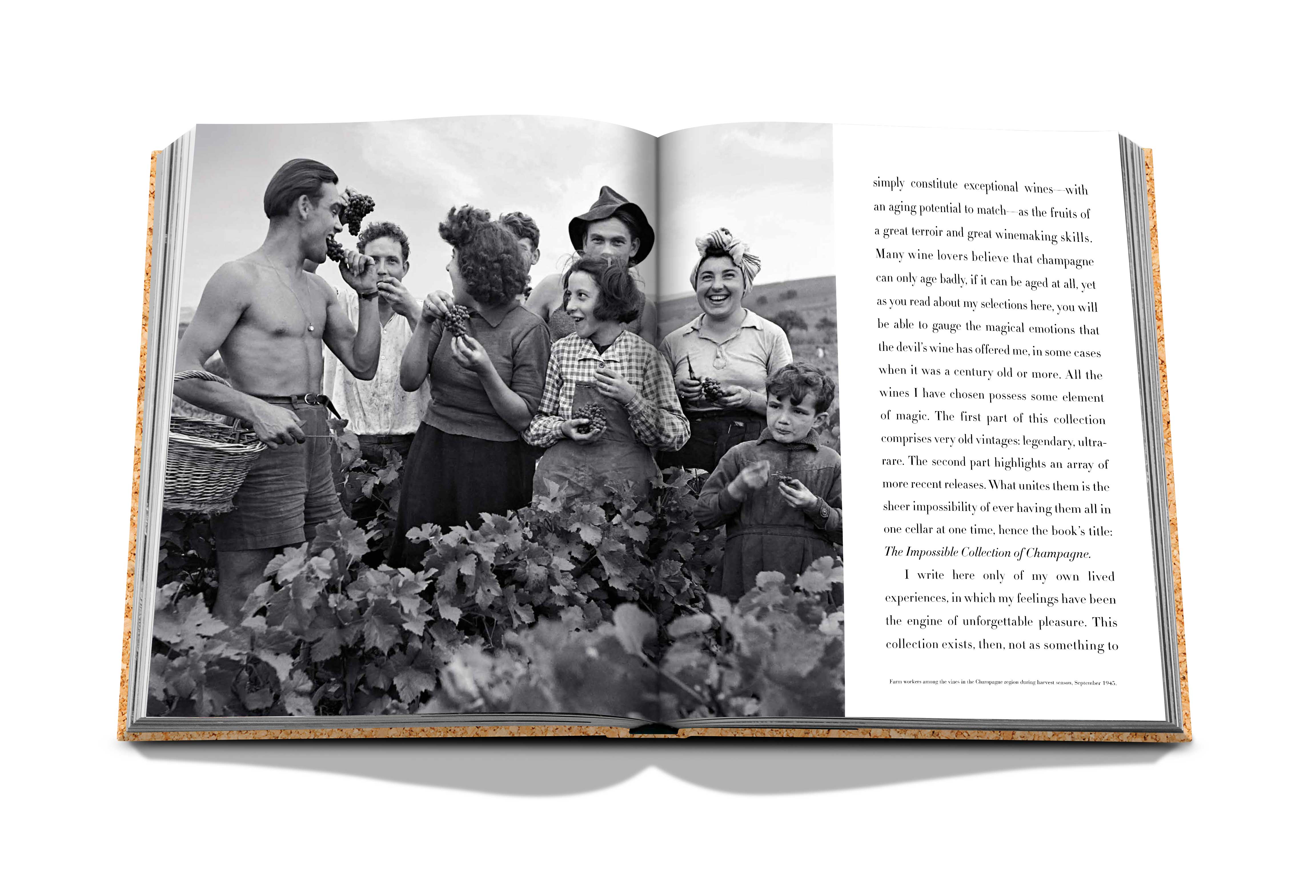 The impossible collection of champagne 13
