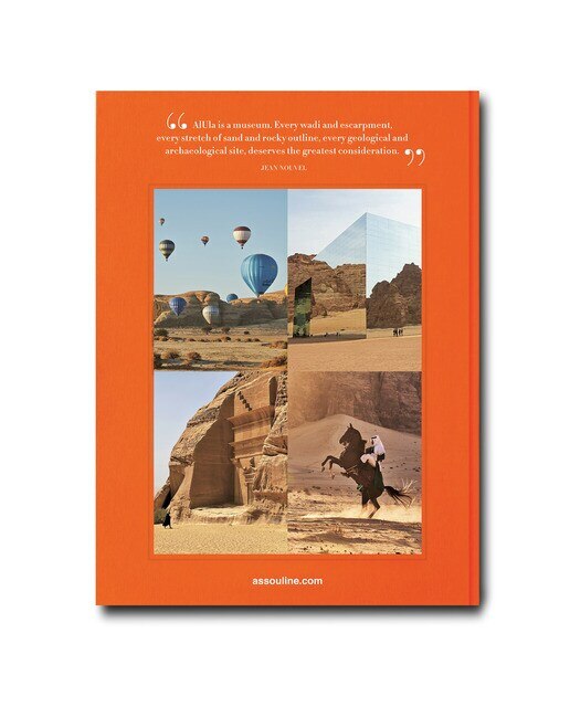 Alula ever 3
