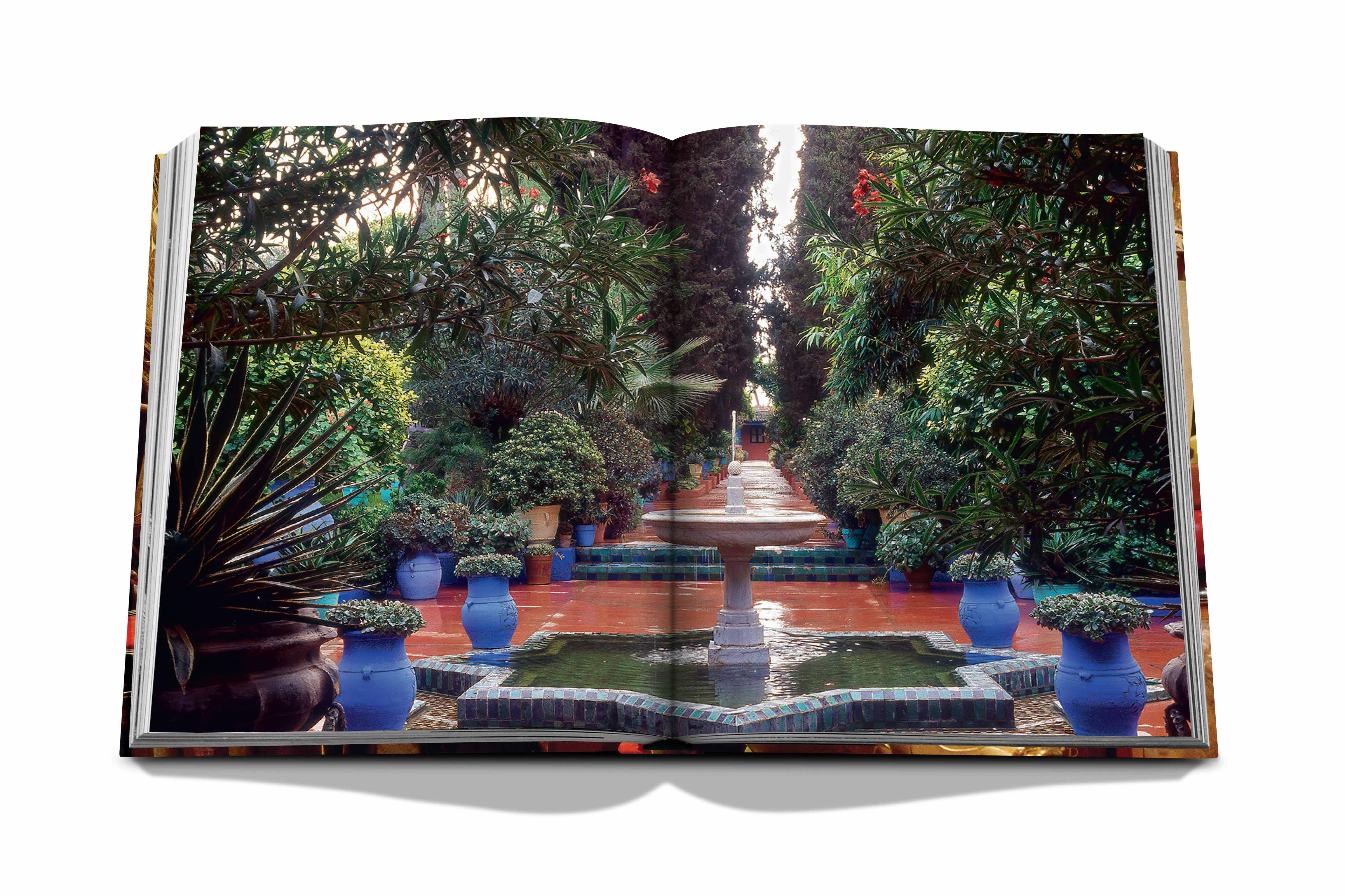 Yves saint laurent at home (Tapa Dura) 12
