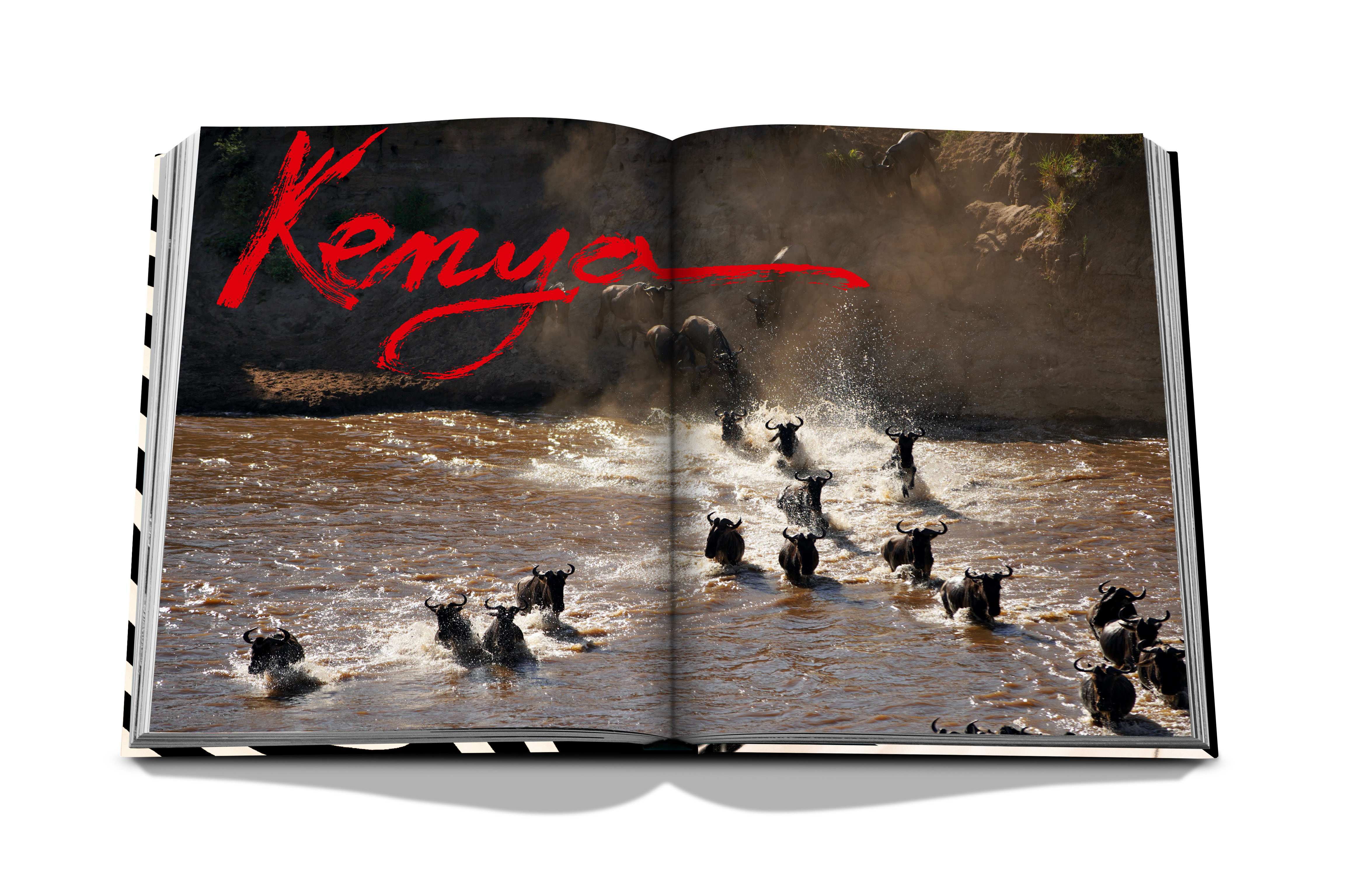 African adventures: the greatest safarion earth 7