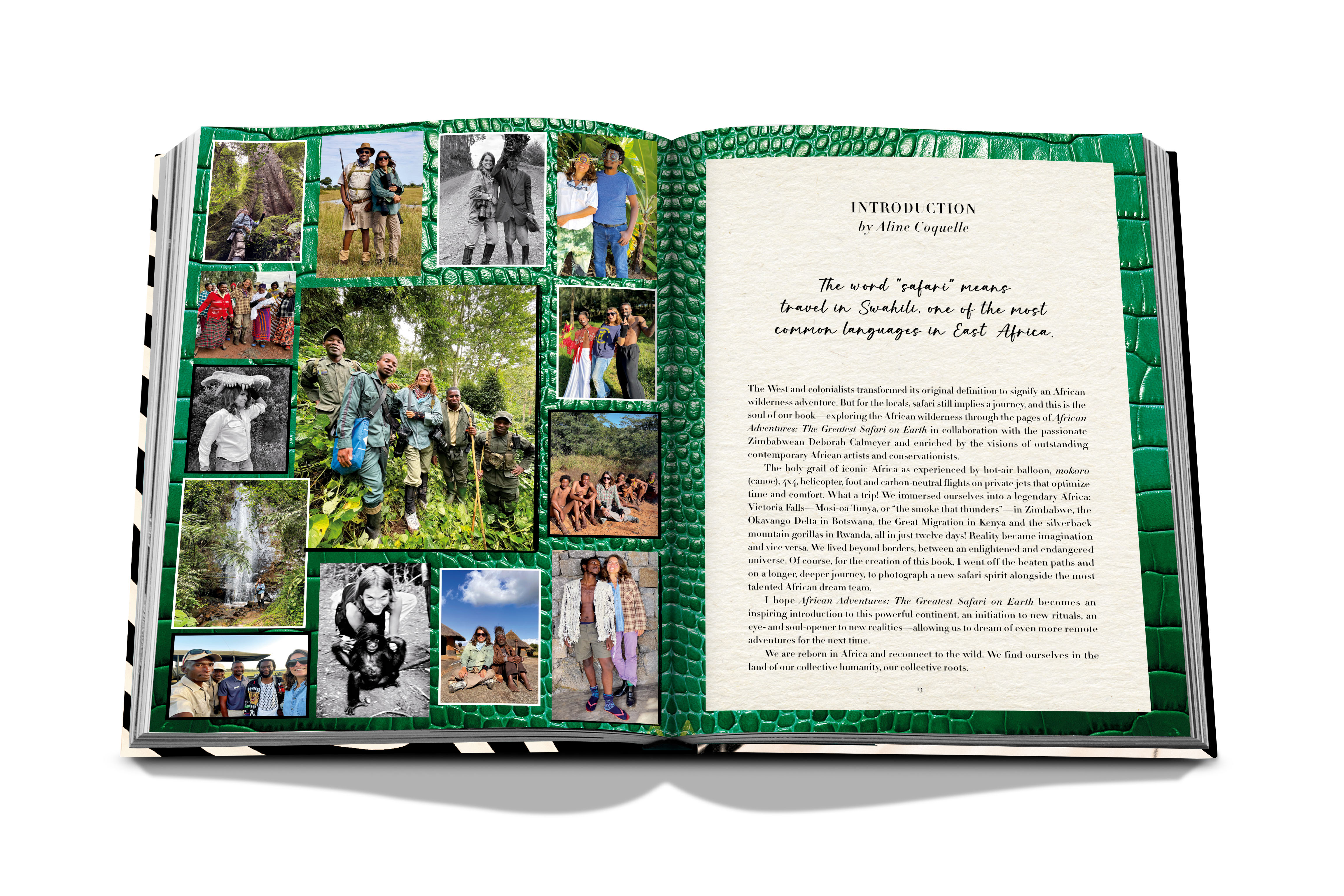 African adventures: the greatest safarion earth 12