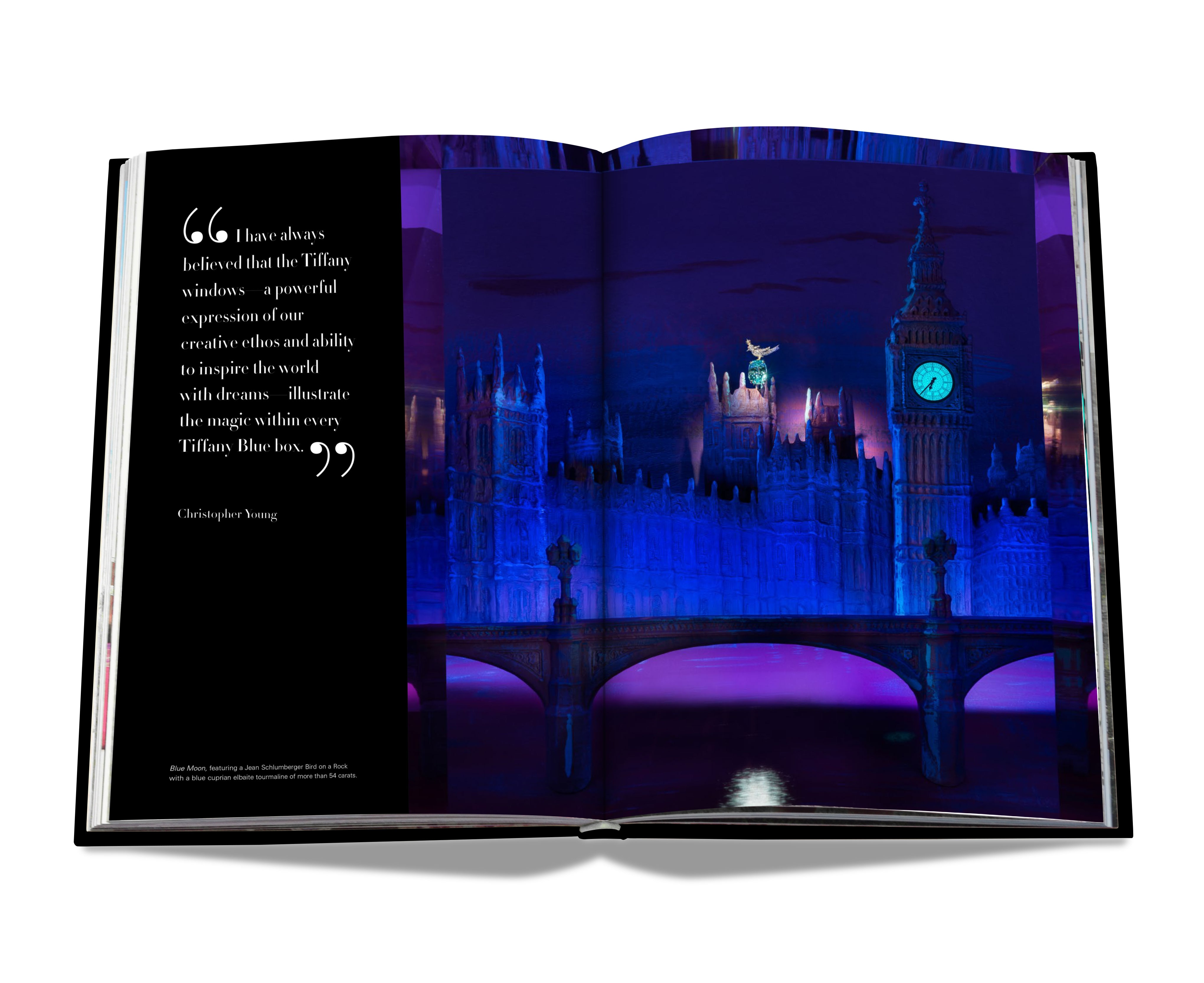 Windows at tiffany & co.(icon edition) 9