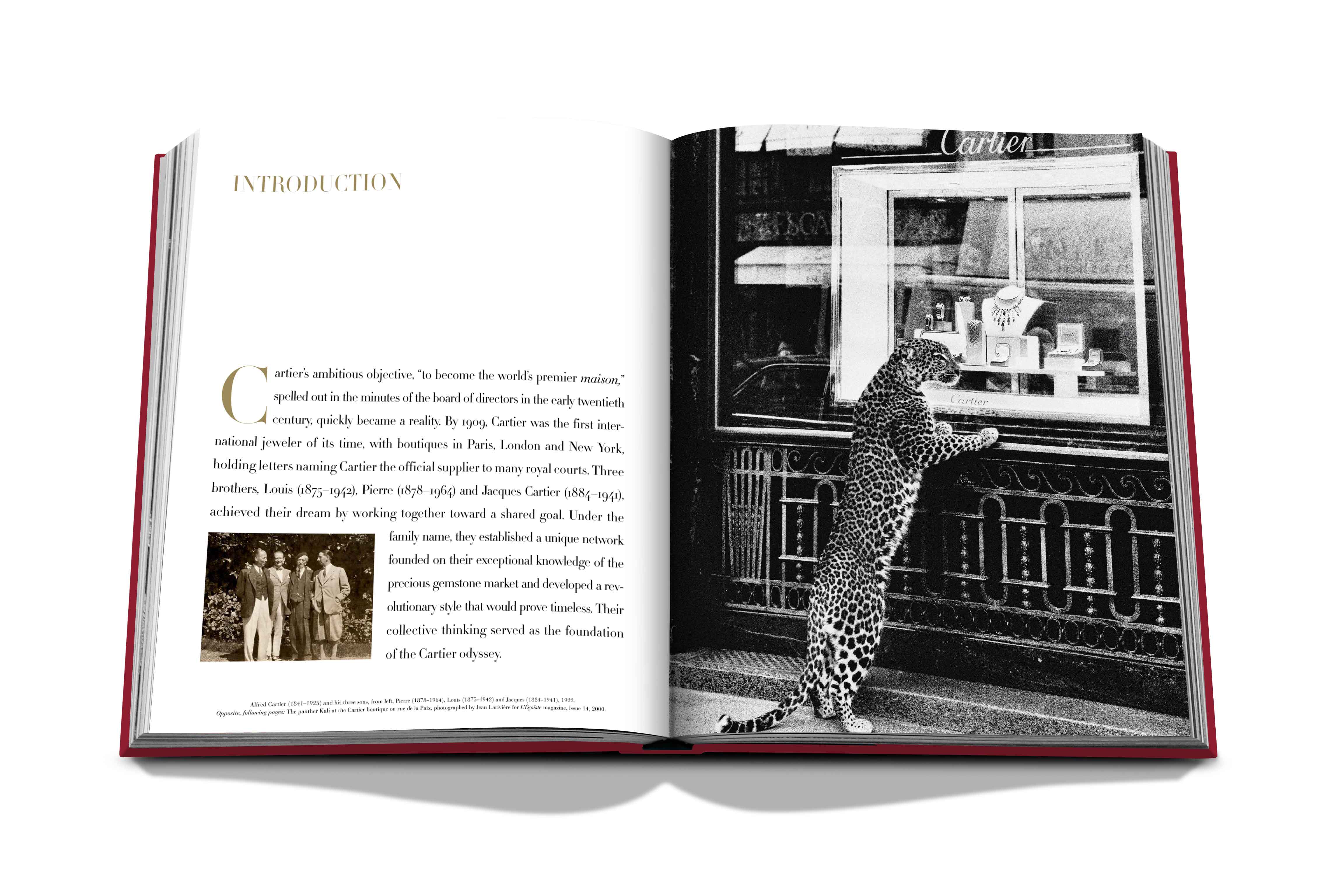 Cartier: the impossible collection 8