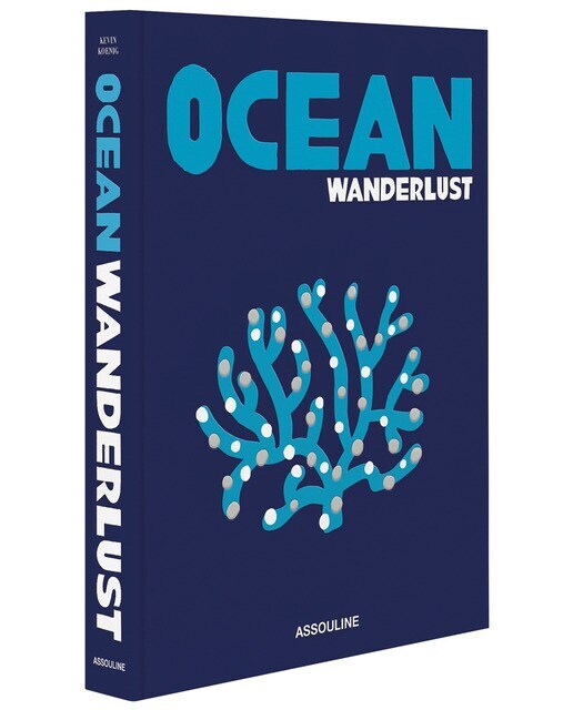 Ocean wanderlust