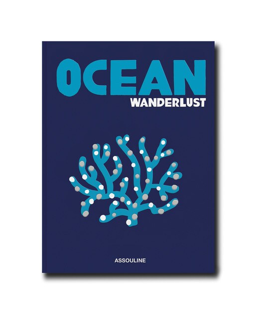 Ocean wanderlust 2