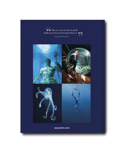 Ocean wanderlust 3