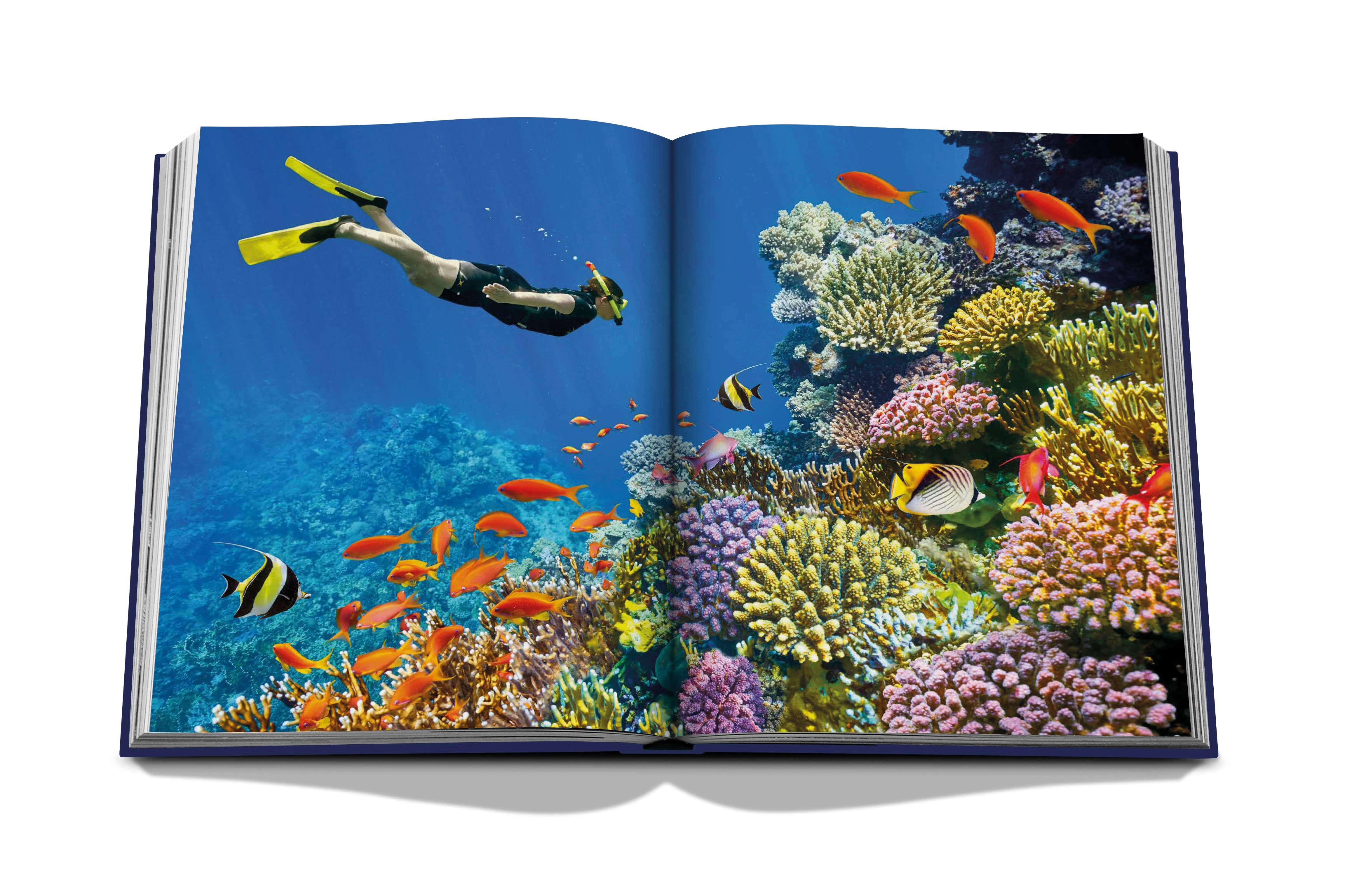 Ocean wanderlust 4