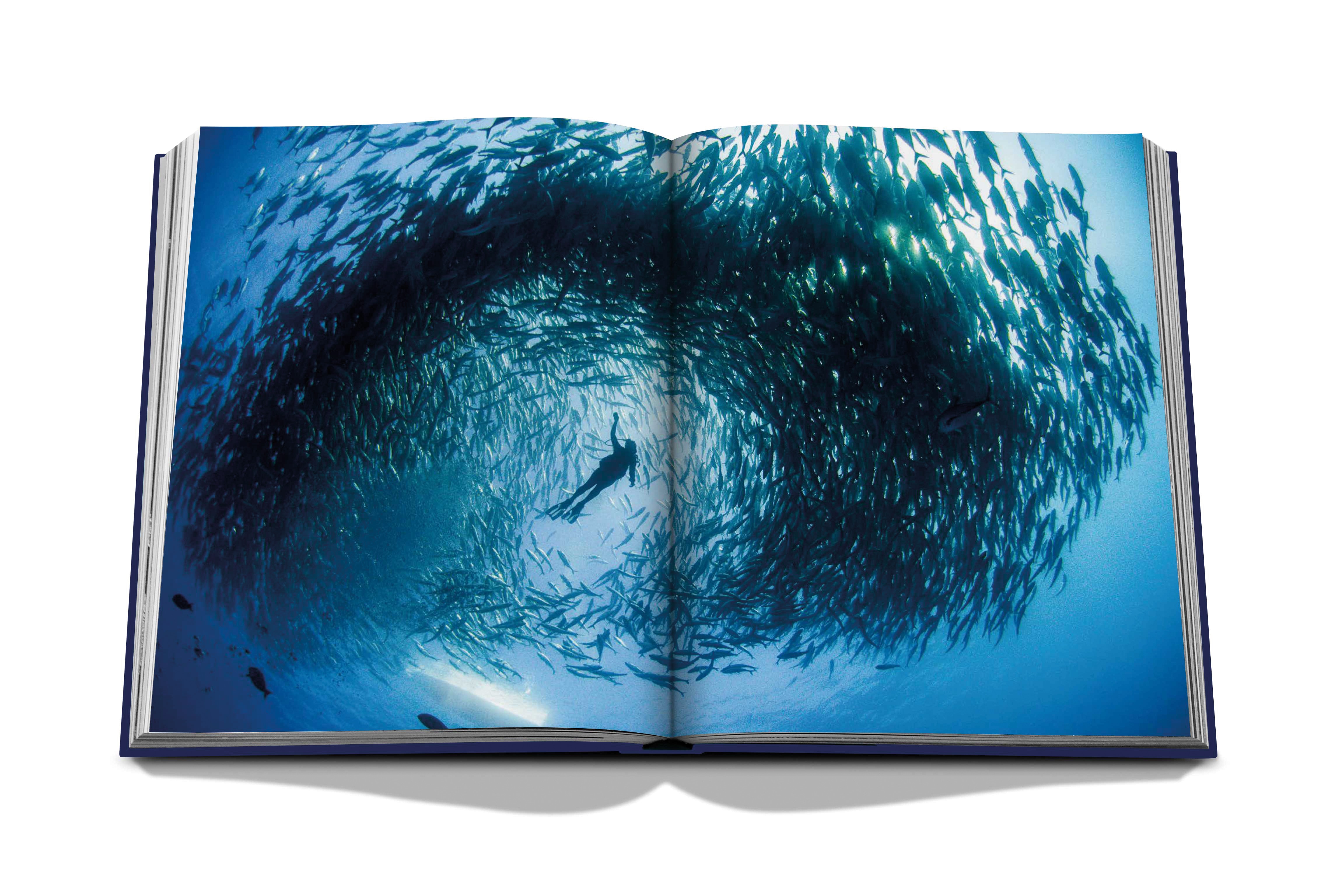 Ocean wanderlust 8