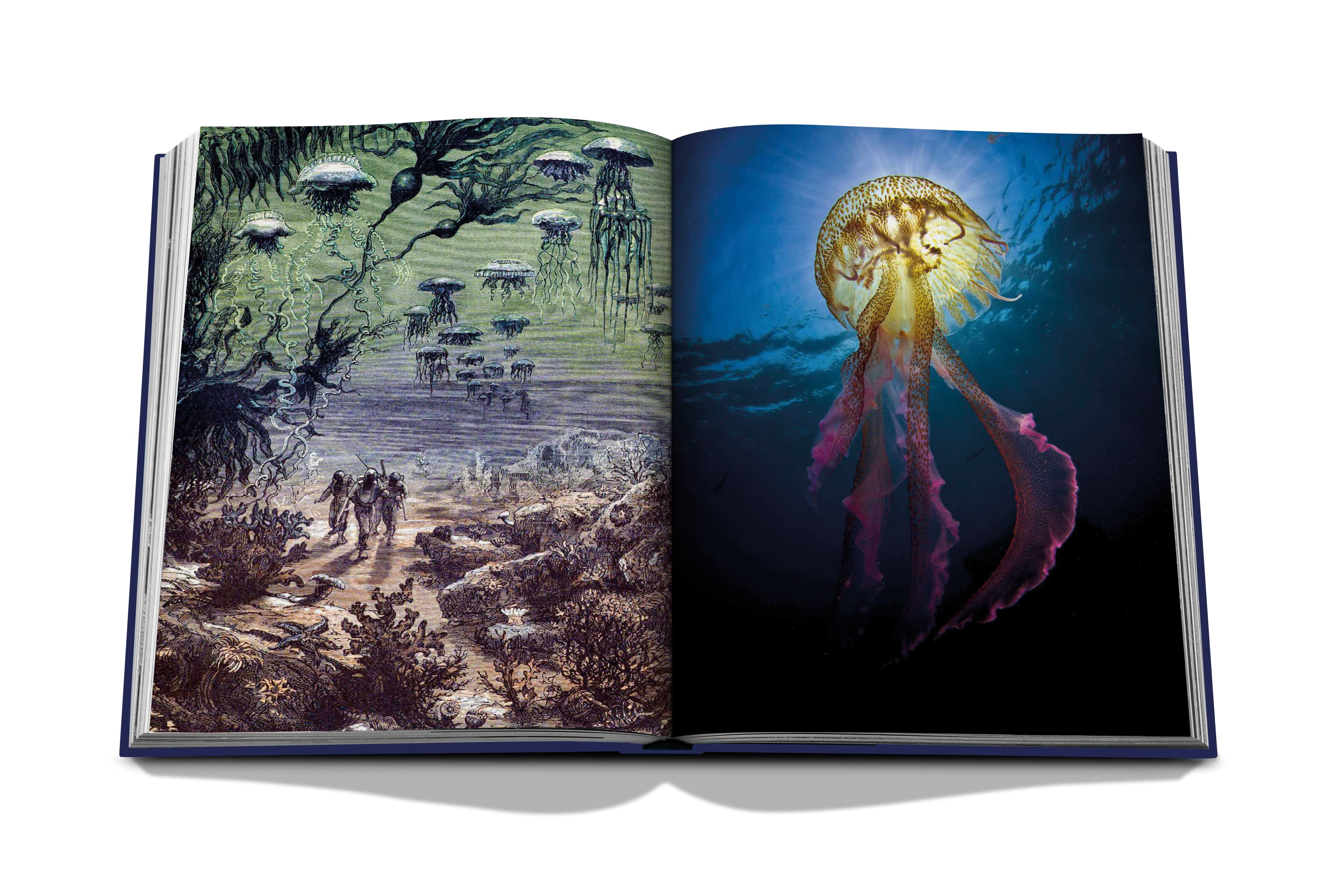 Ocean wanderlust 9