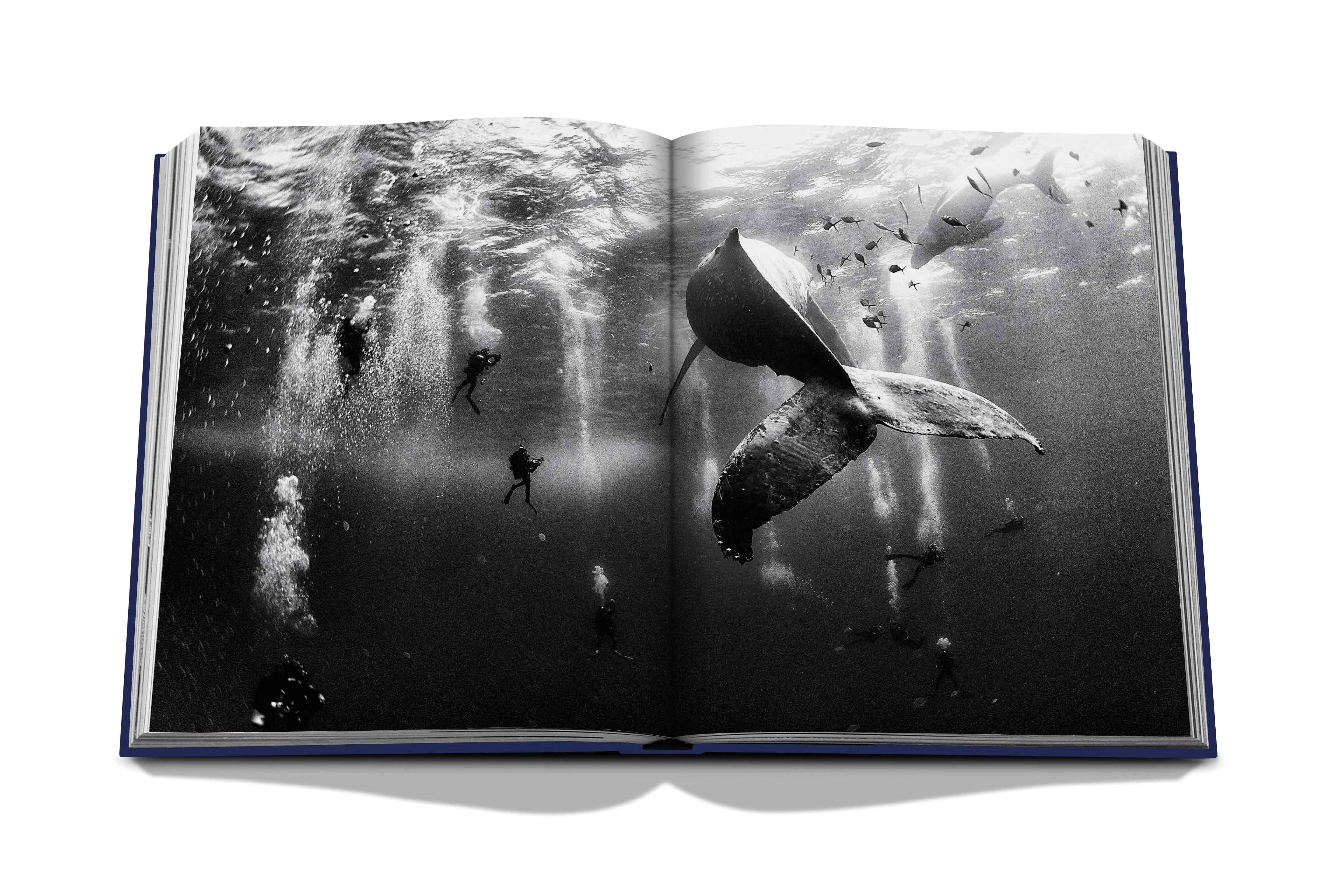 Ocean wanderlust 11