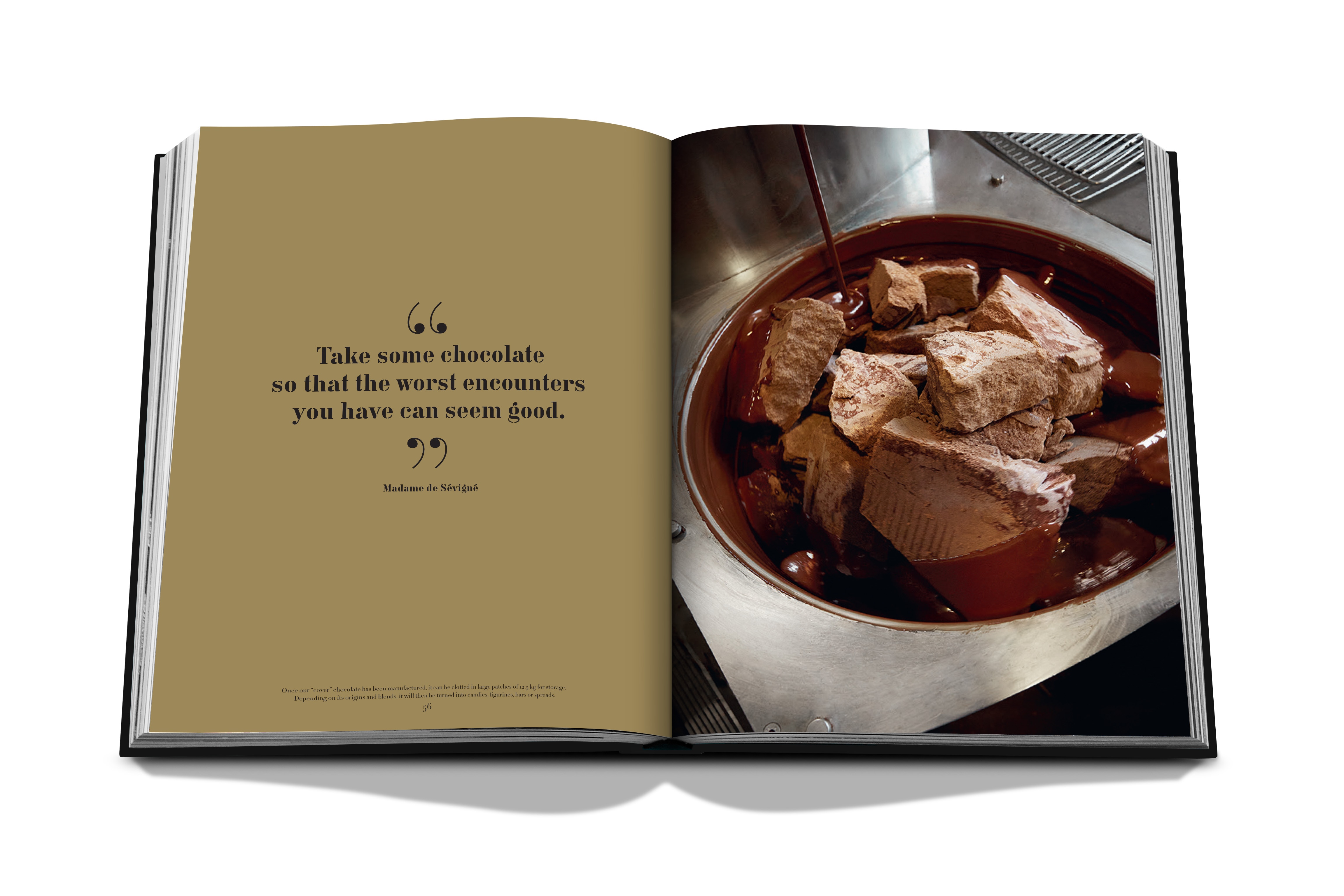 The art of manufacture: alain ducasse 17