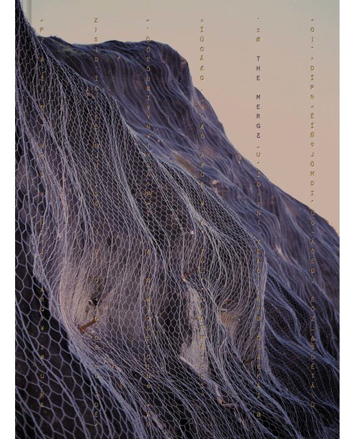 The Merge (Capa dura) 1