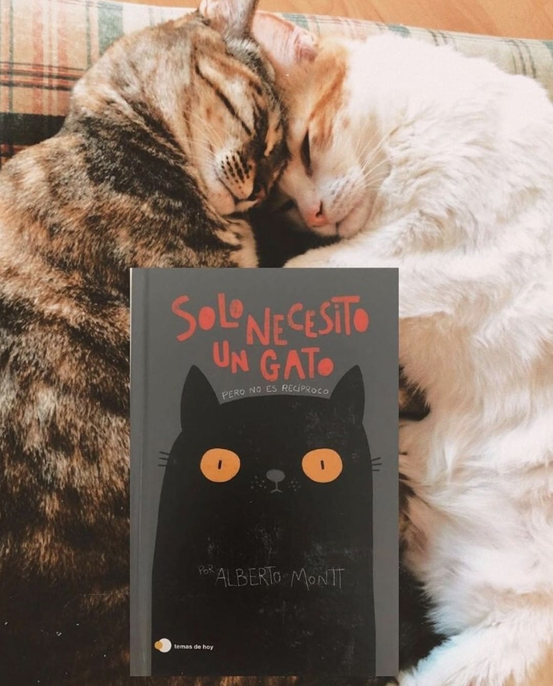 Solo necesito un gato(Tapa dura) 3