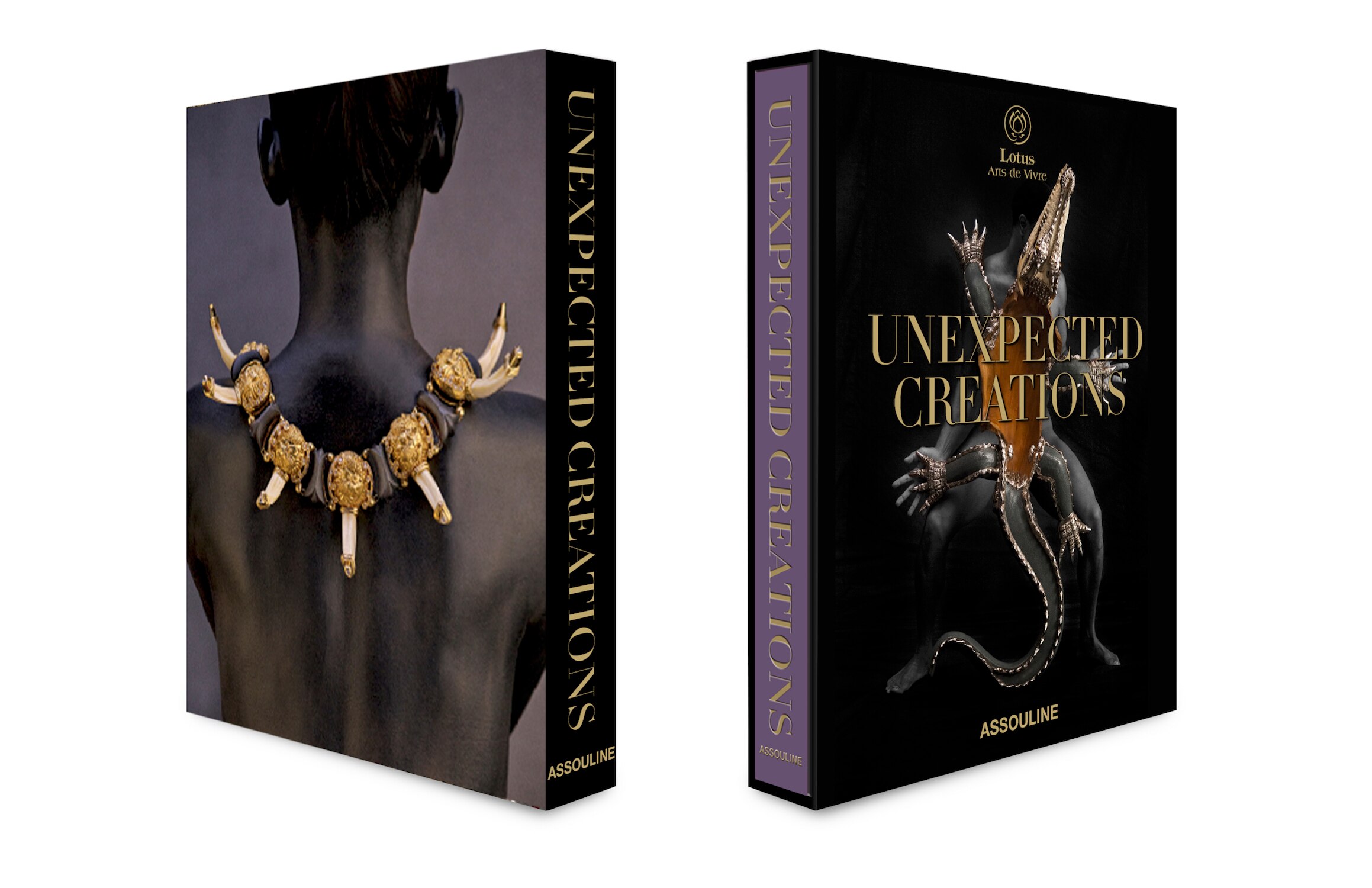 Unexpected Creations 3