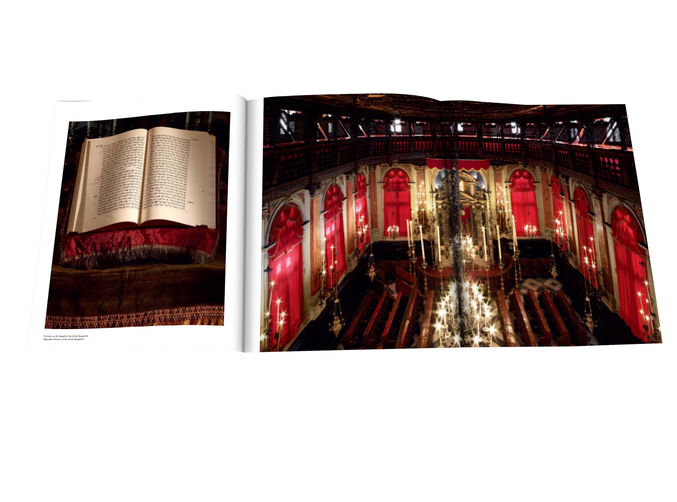 Venice Synagogues 3