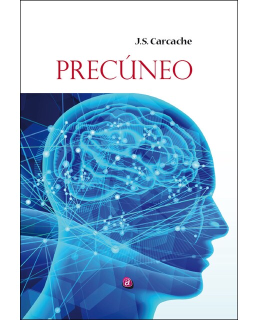 Imagem 0 de Precúneo