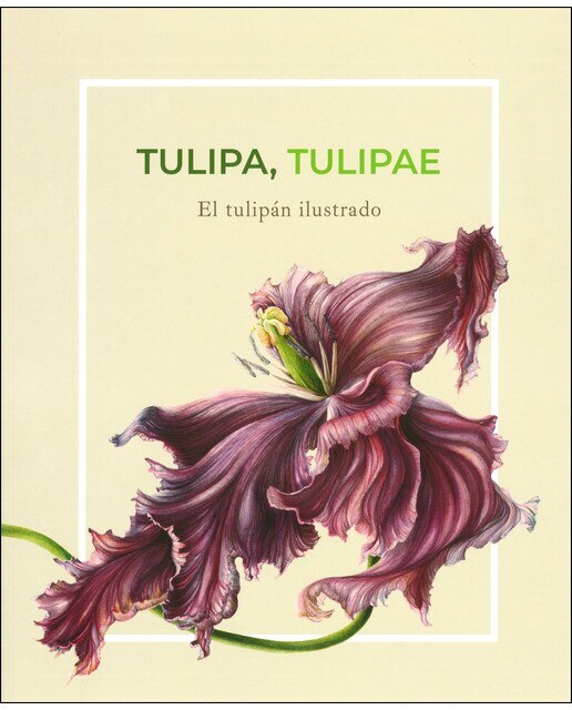 Tulipa tulipae : el tulipán ilustrado (Capa mole com abas) 1