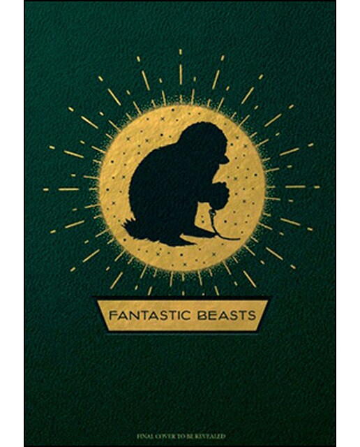 Fantastic Beasts And Where To Find Them: Magical Creatures 1