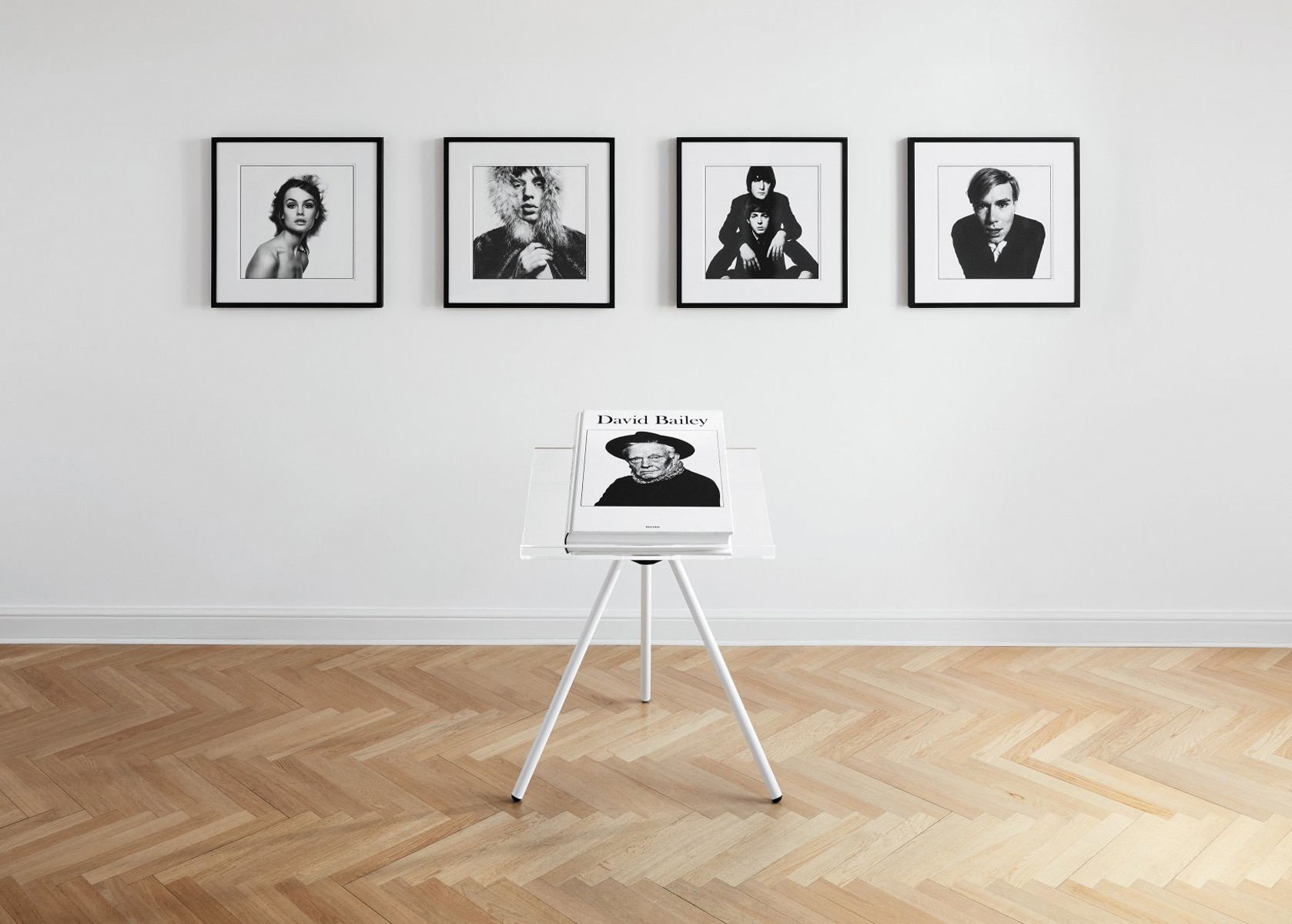 David bailey 2