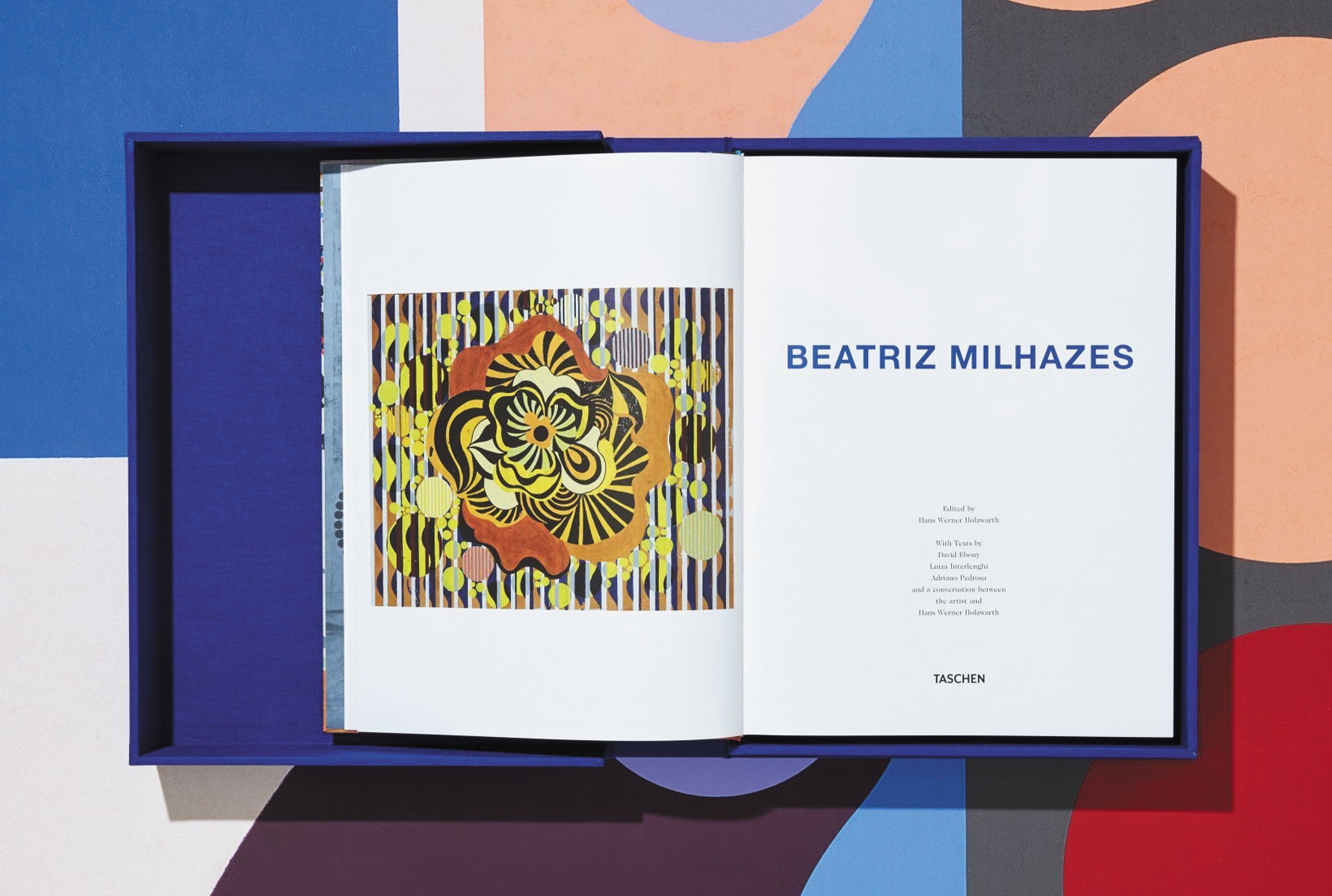 Milhazes(Tapa dura) 5