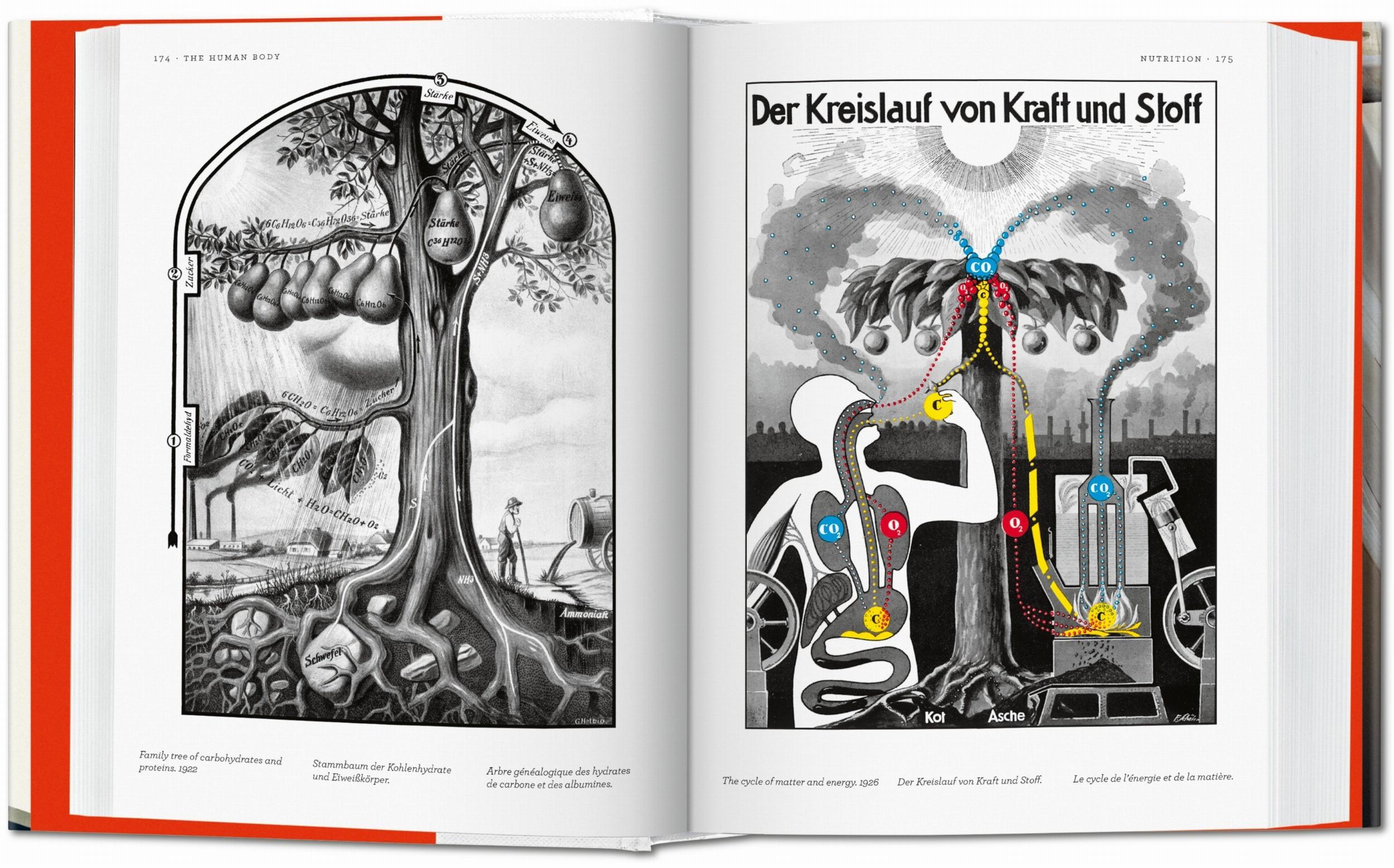 Fritz Kahn. Infographics Pioneer (Capa dura) 4